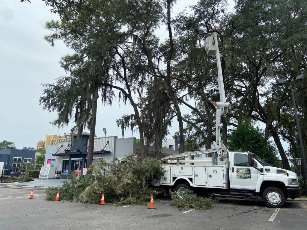H&M Tree Service job photo 95