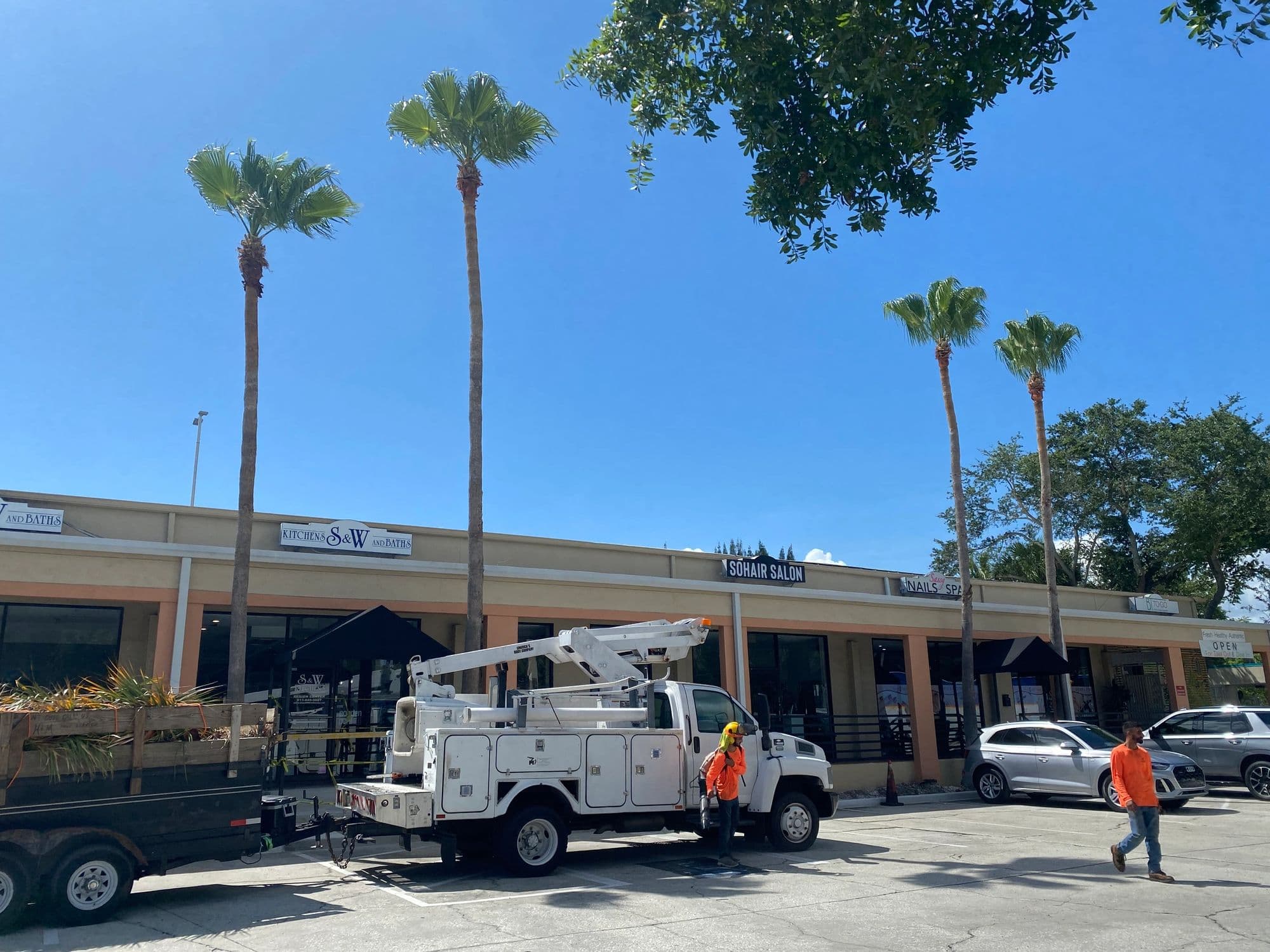 H&M Tree Service job photo 79