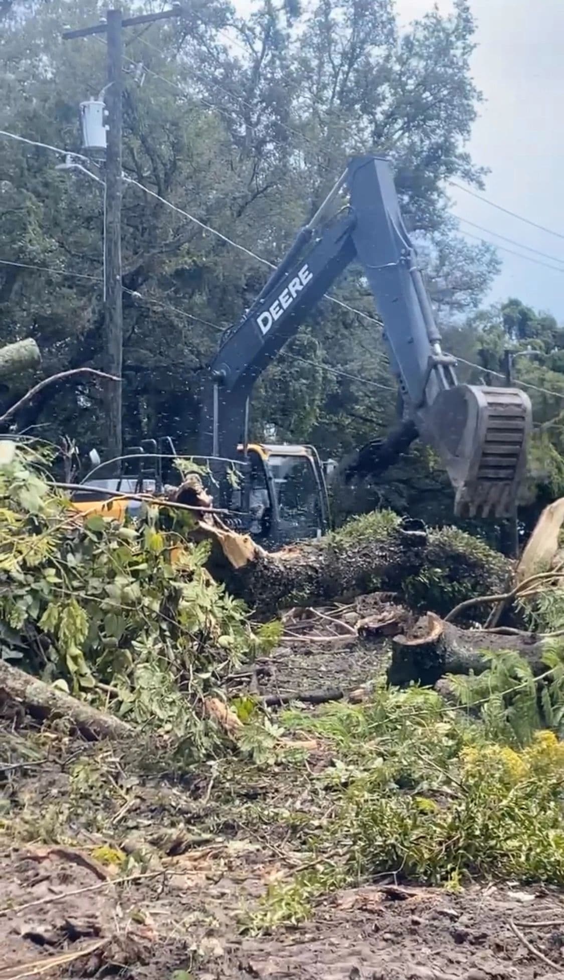 H&M Tree Service job photo 86