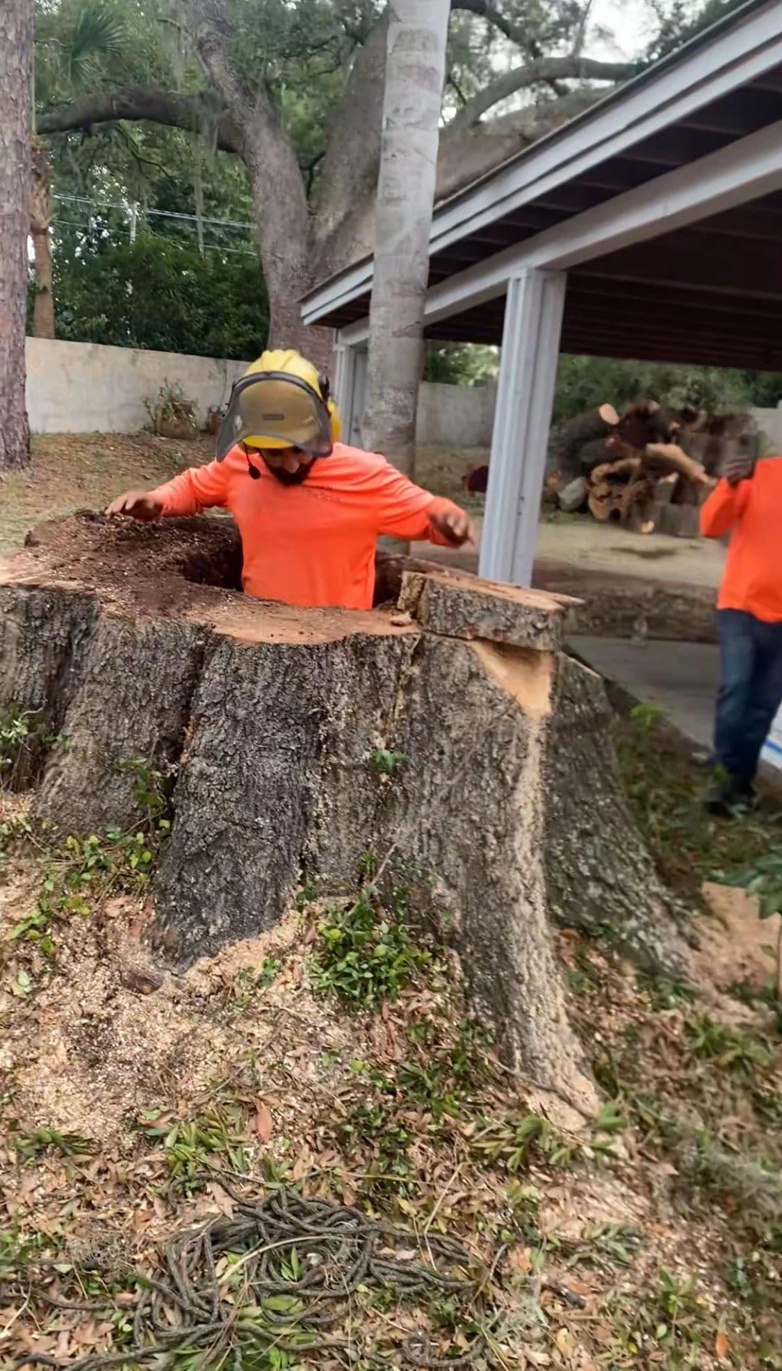 H&M Tree Service job photo 83