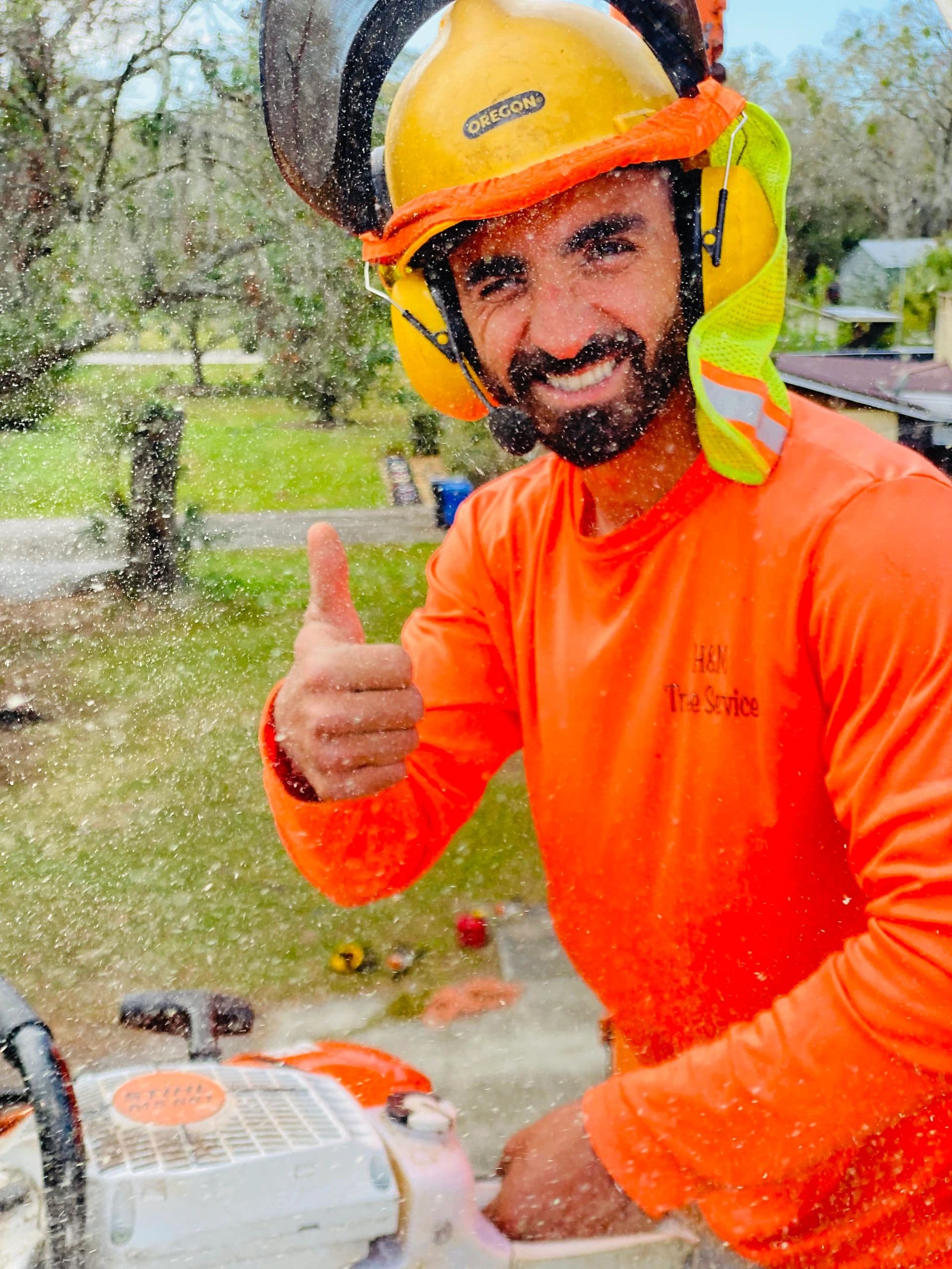 H&M Tree Service job photo 45