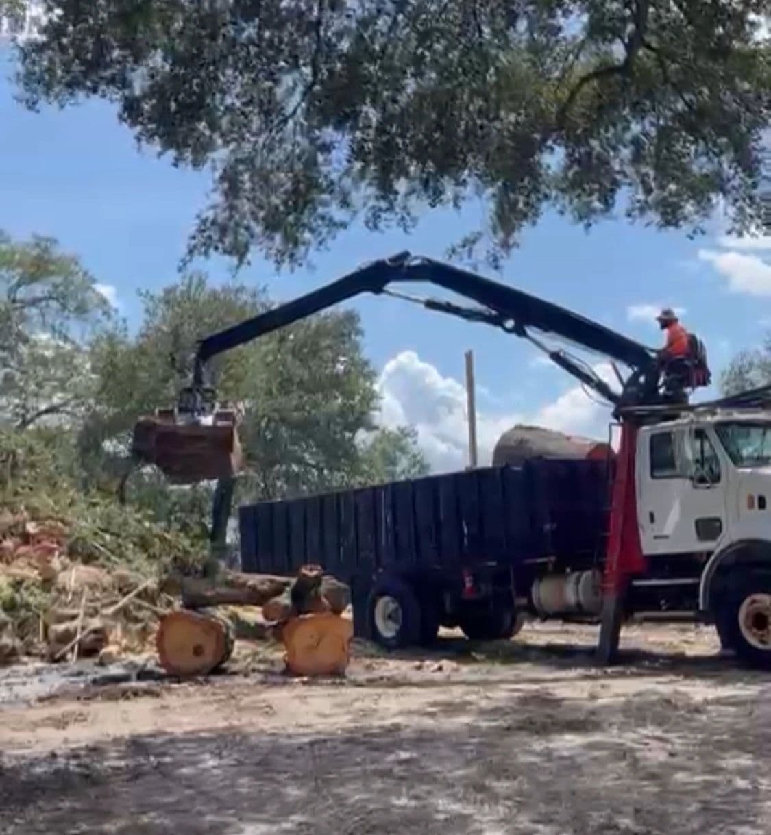 H&M Tree Service job photo 96