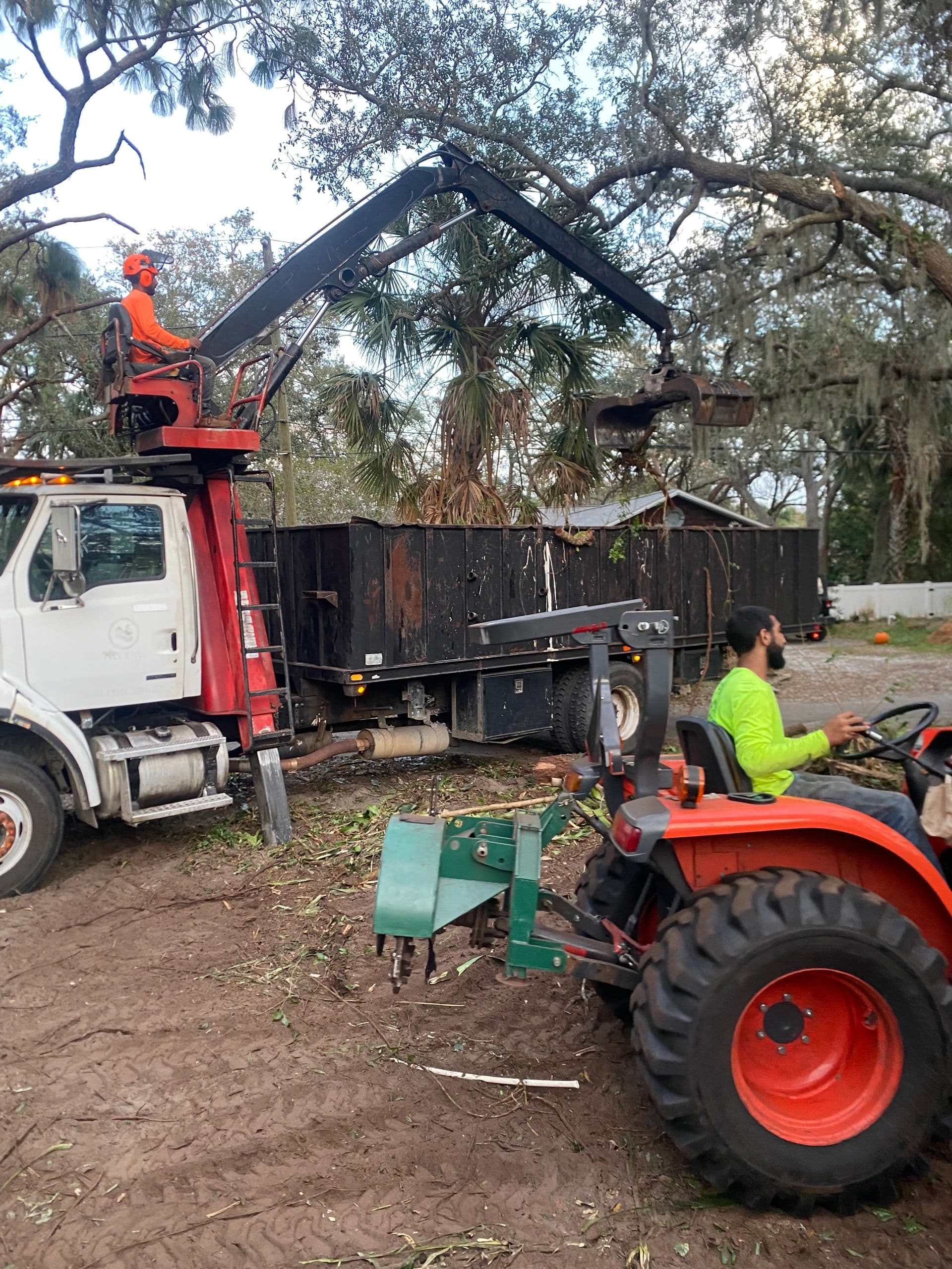 H&M Tree Service job photo 18