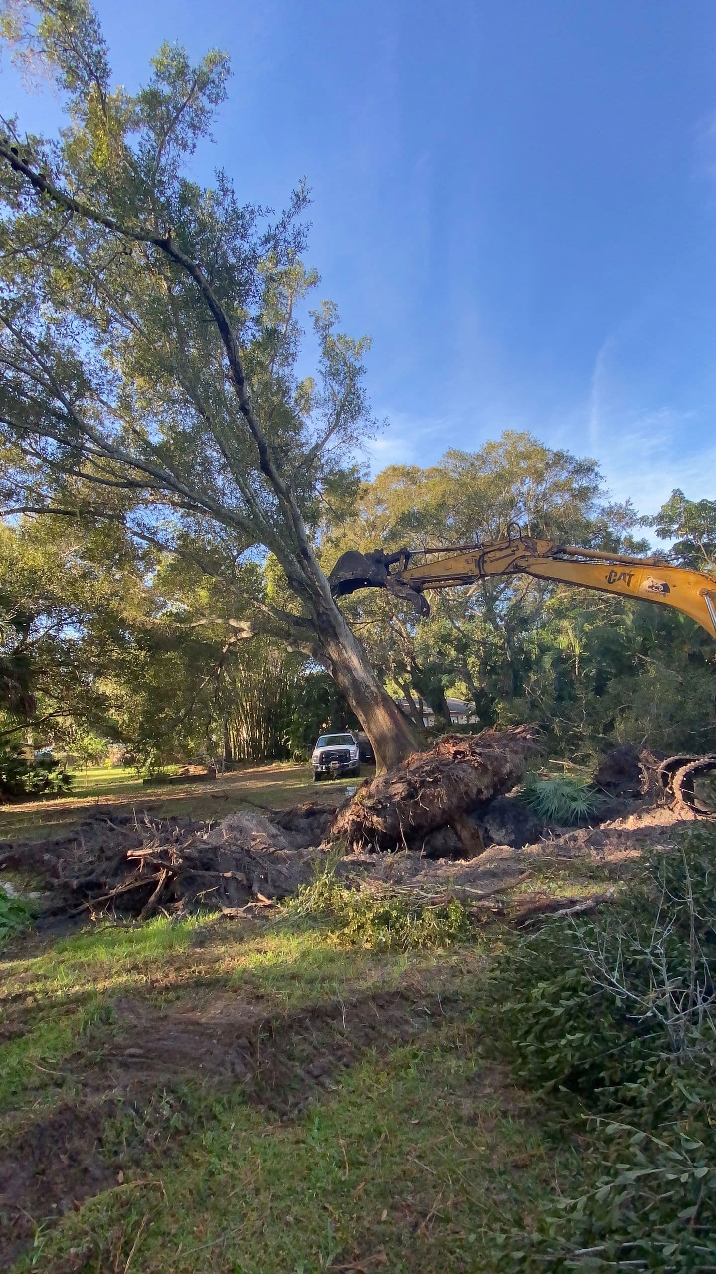 H&M Tree Service job photo 35