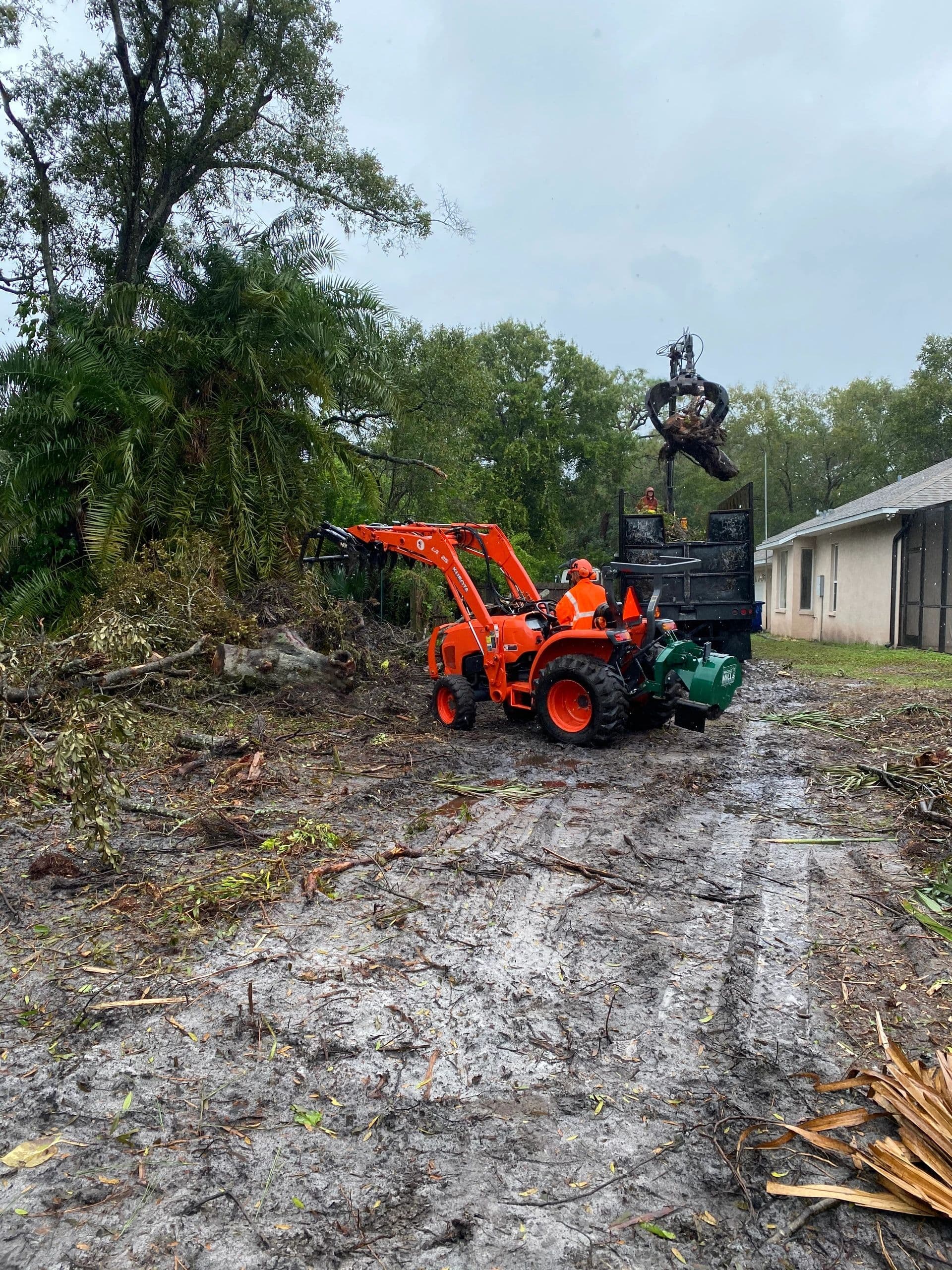 H&M Tree Service job photo 8
