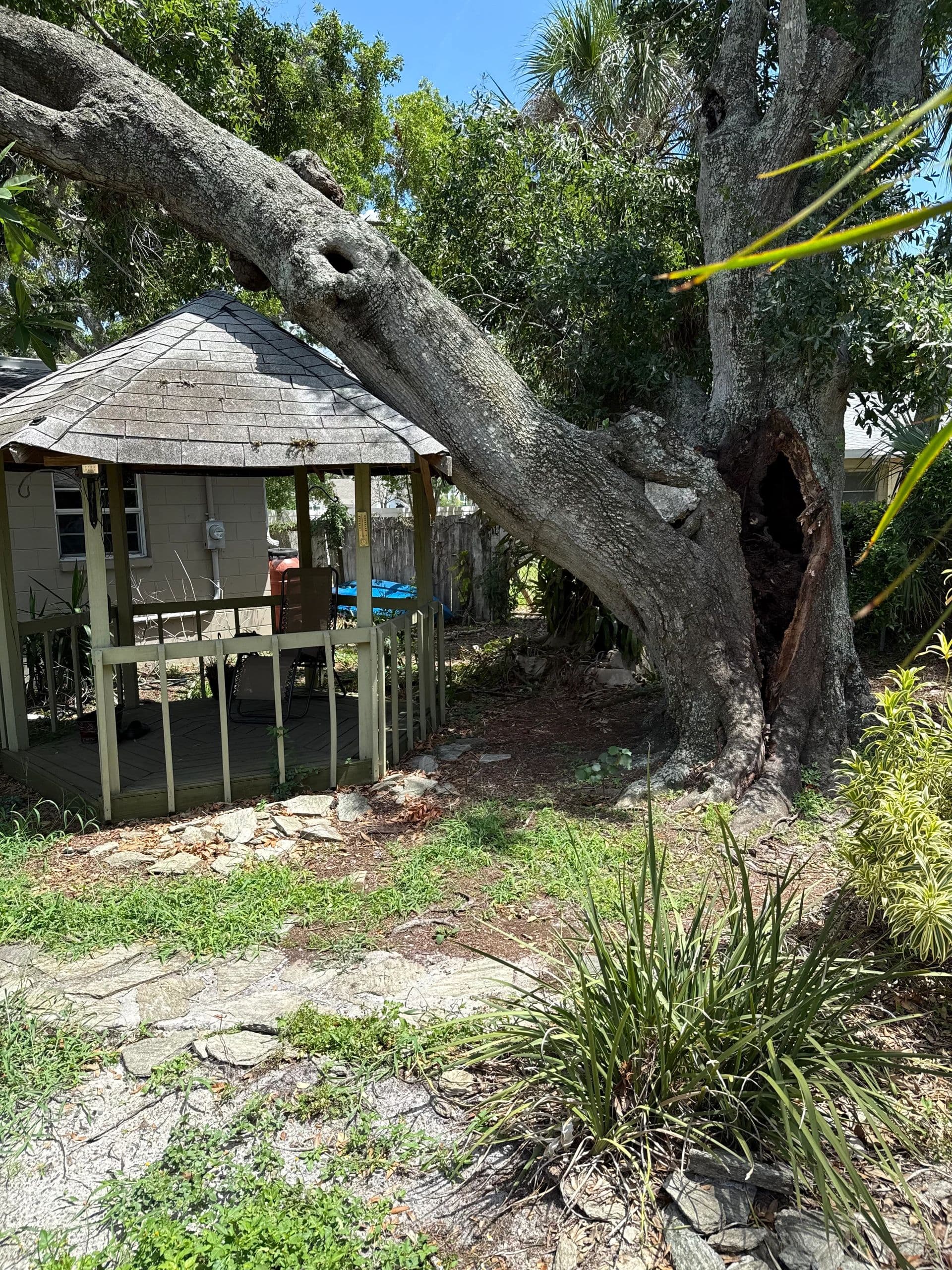 H&M Tree Service job photo 2