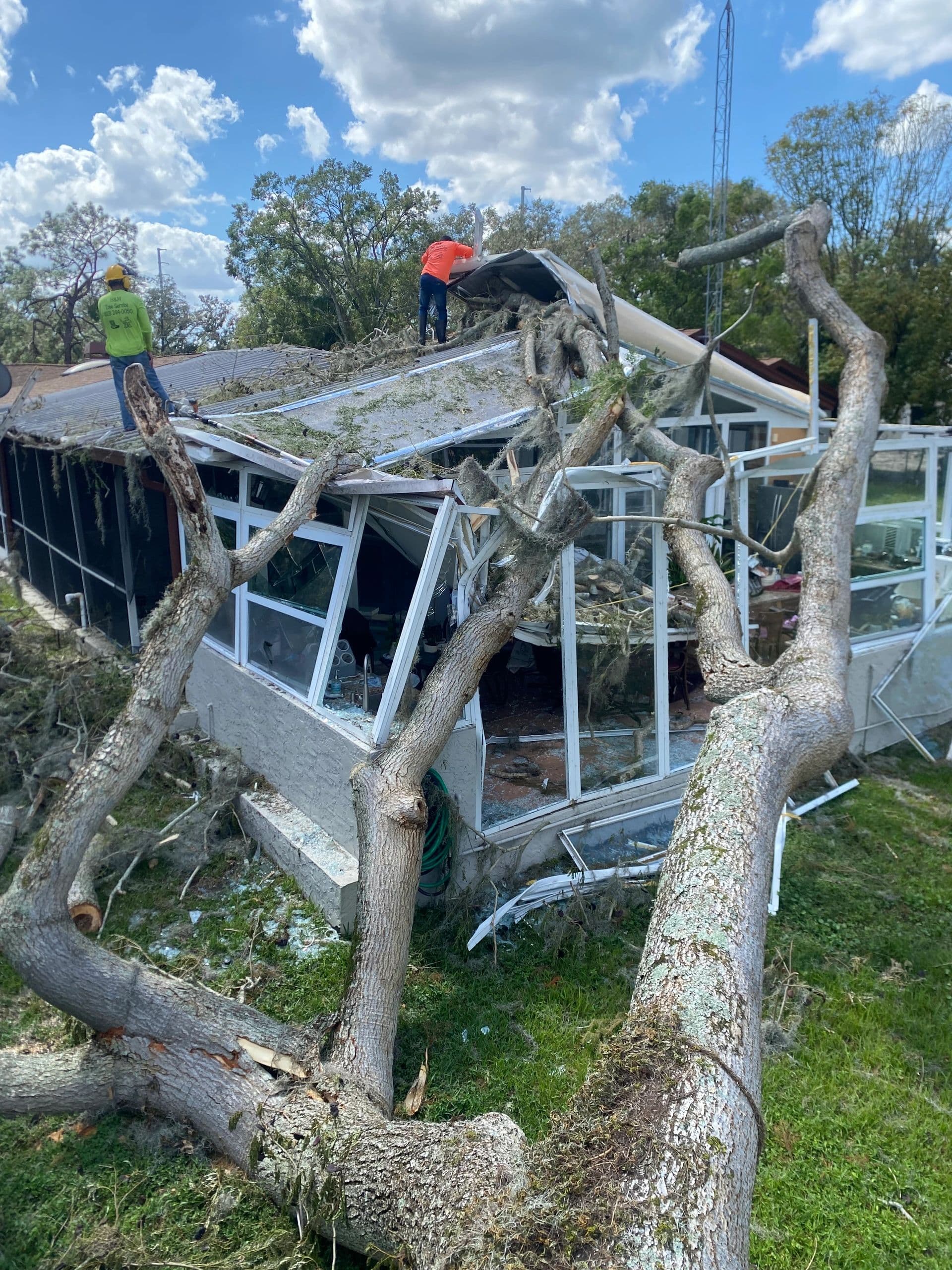 H&M Tree Service job photo 15