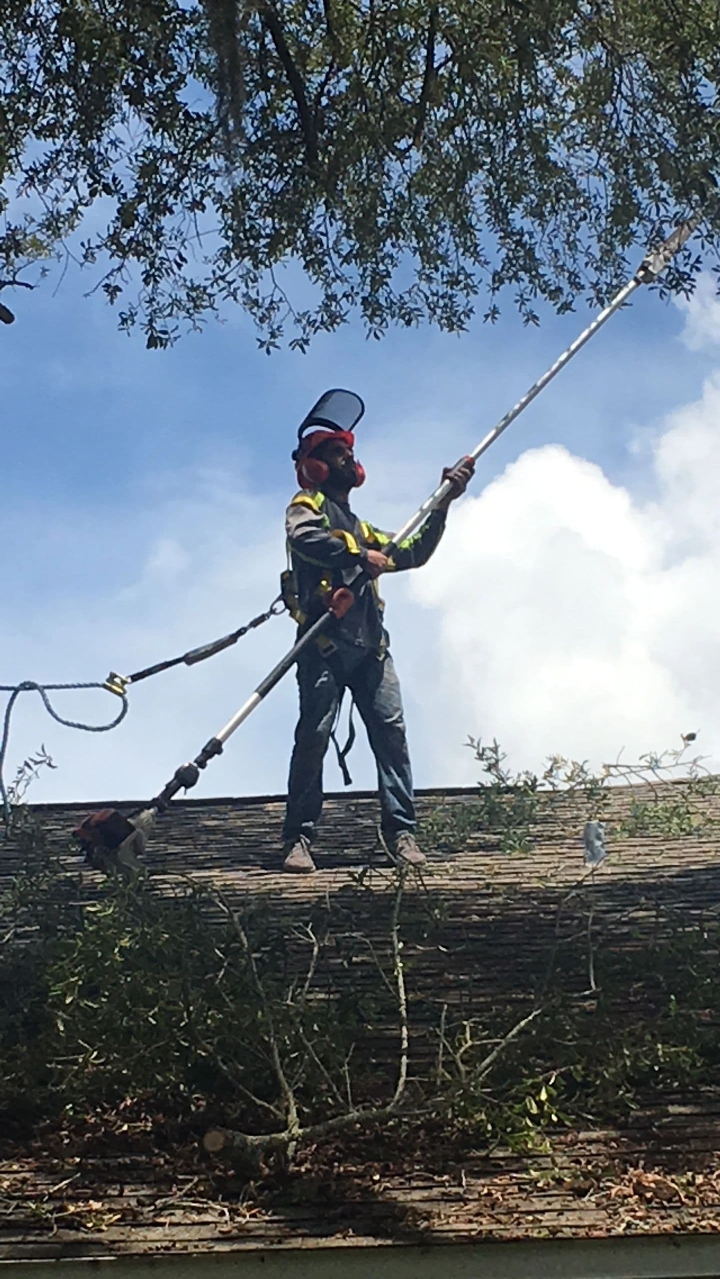H&M Tree Service job photo 72