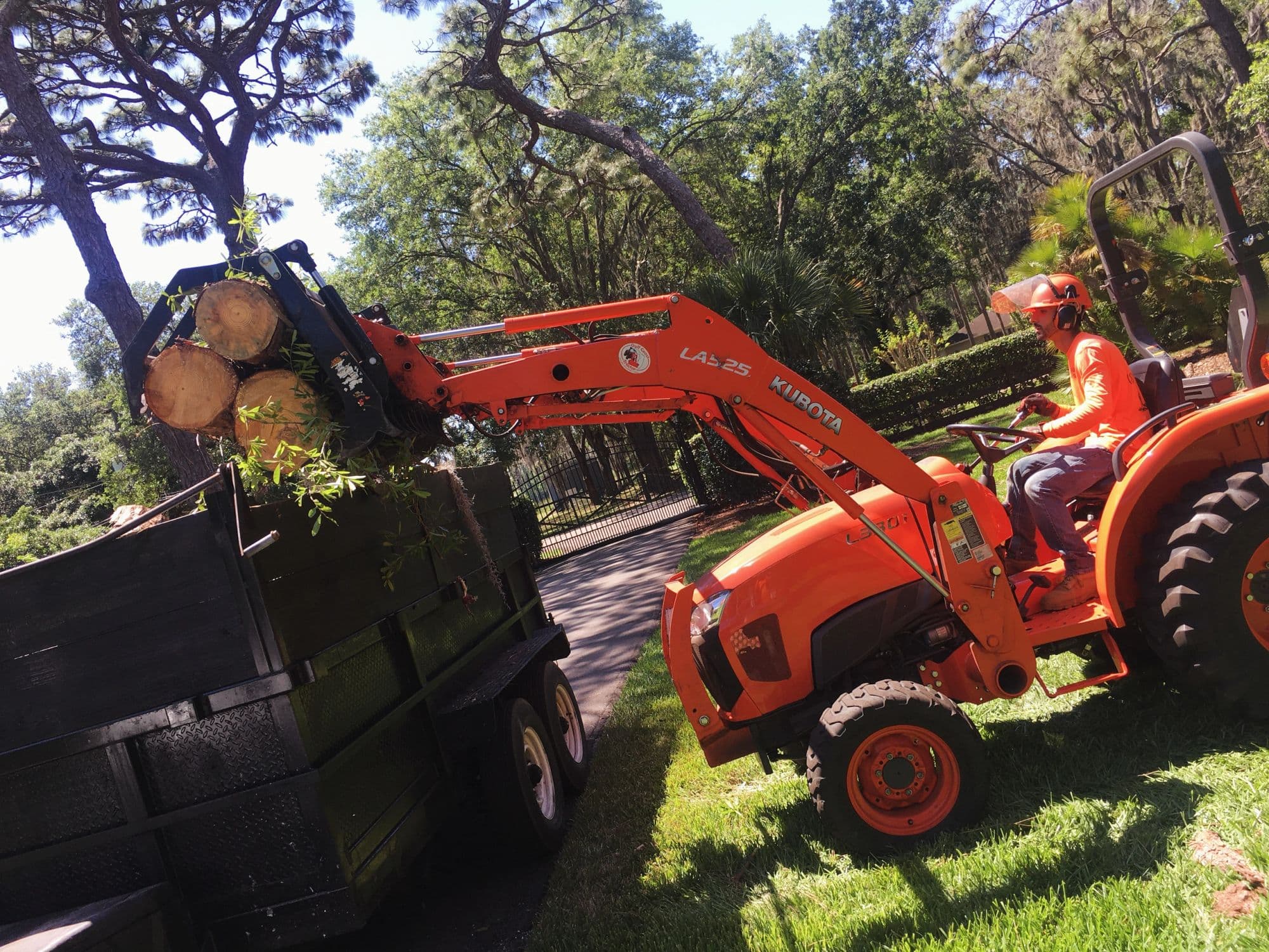 H&M Tree Service job photo 47