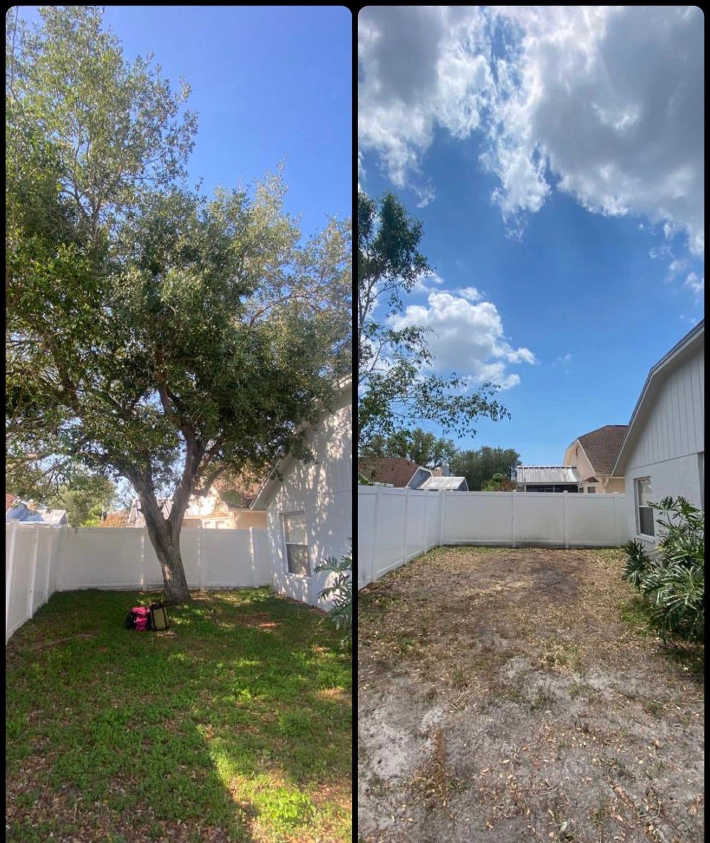 H&M Tree Service job photo 76