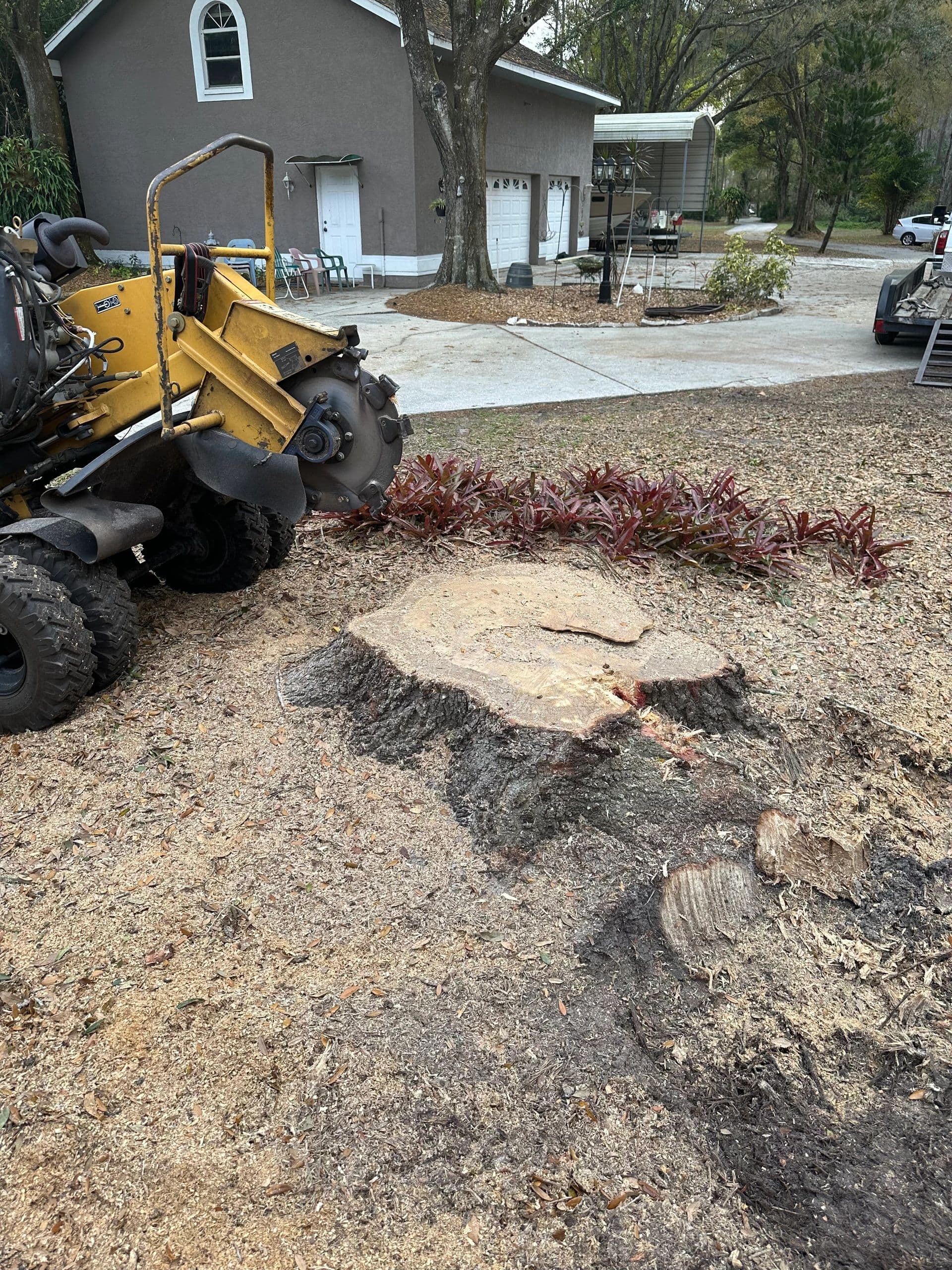 H&M Tree Service job photo 3