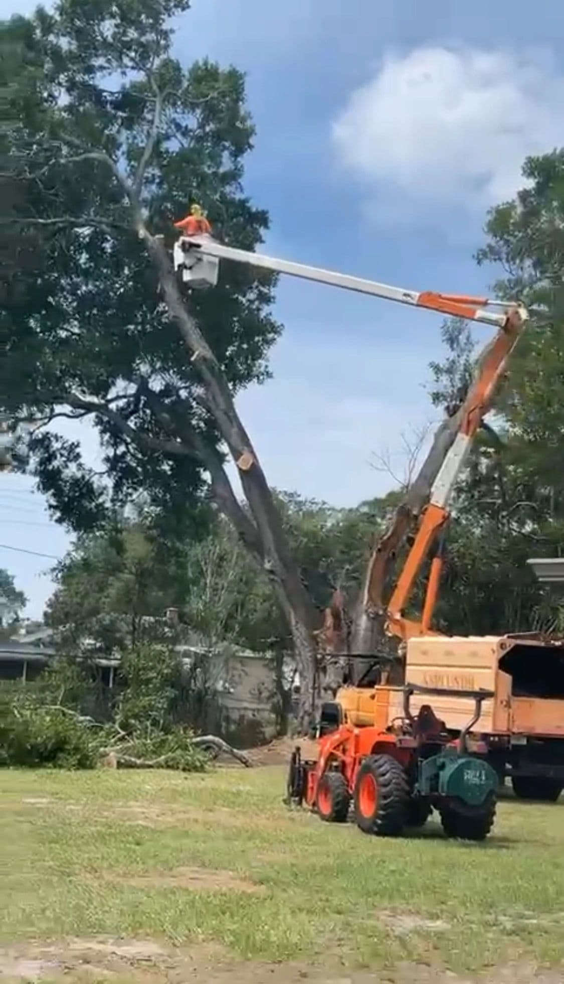 H&M Tree Service job photo 91