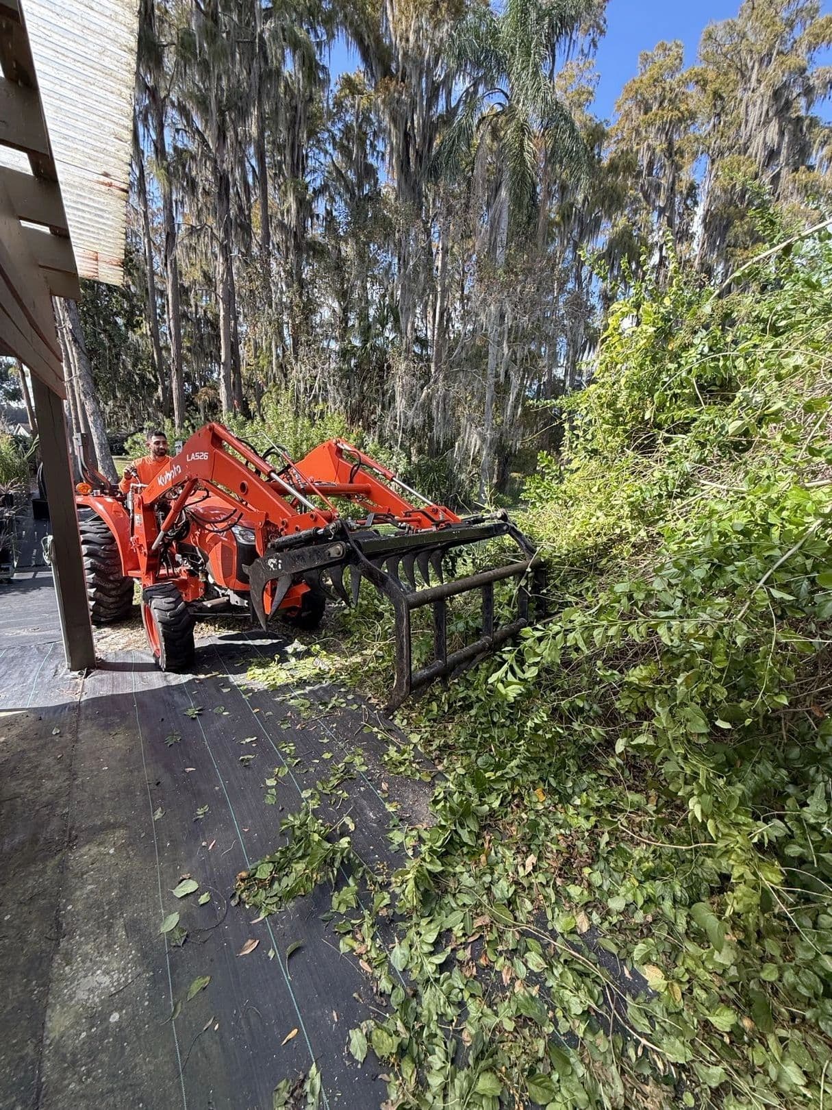 H&M Tree Service job photo 53
