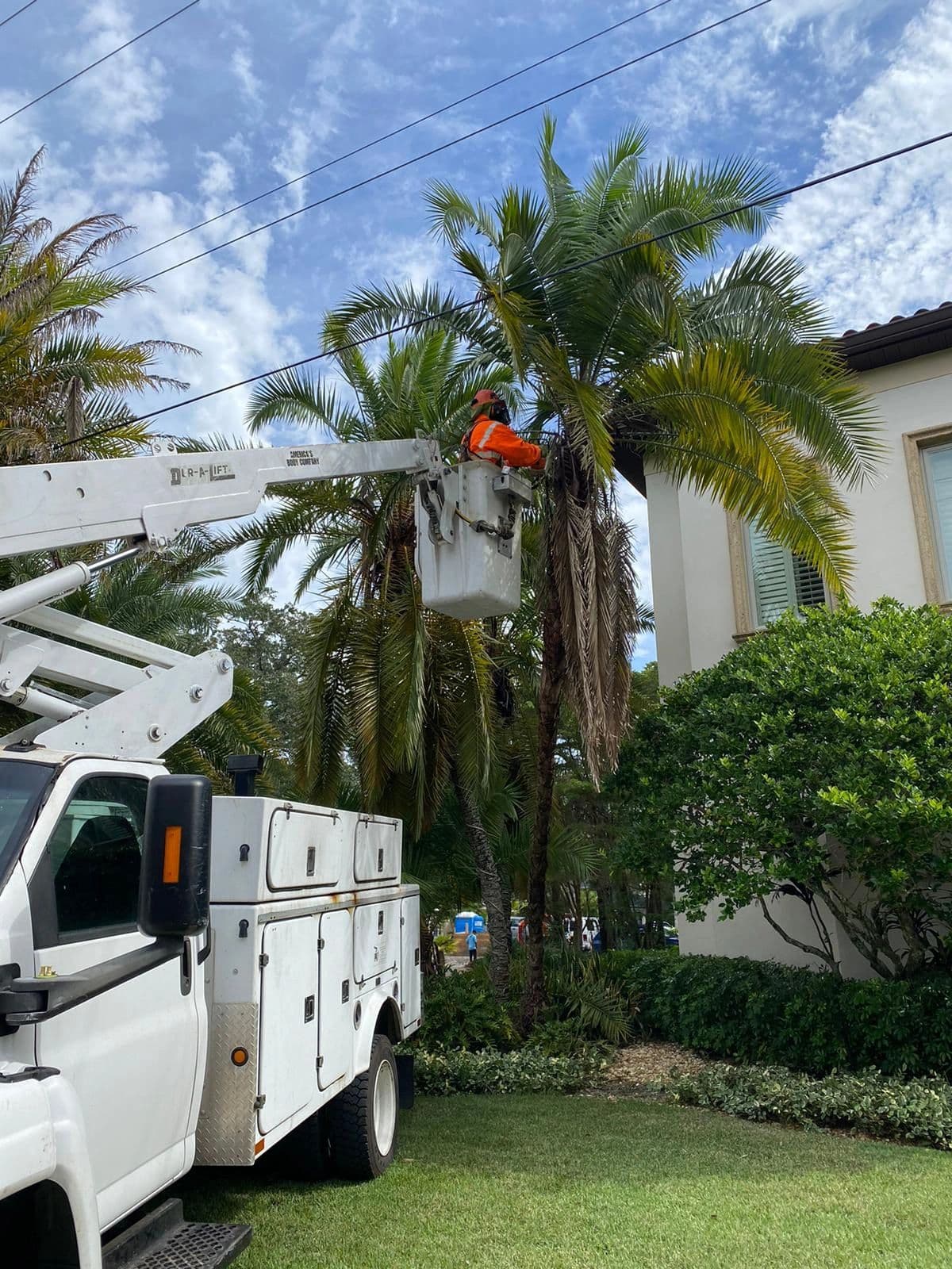 H&M Tree Service job photo 80