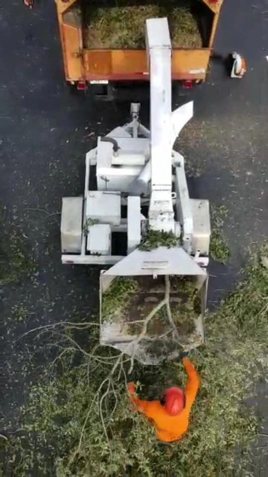 H&M Tree Service job photo 99