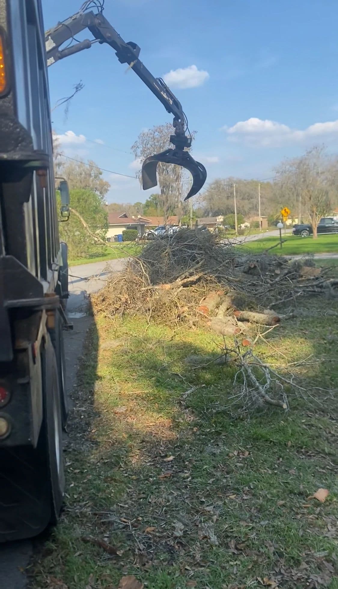 H&M Tree Service job photo 90