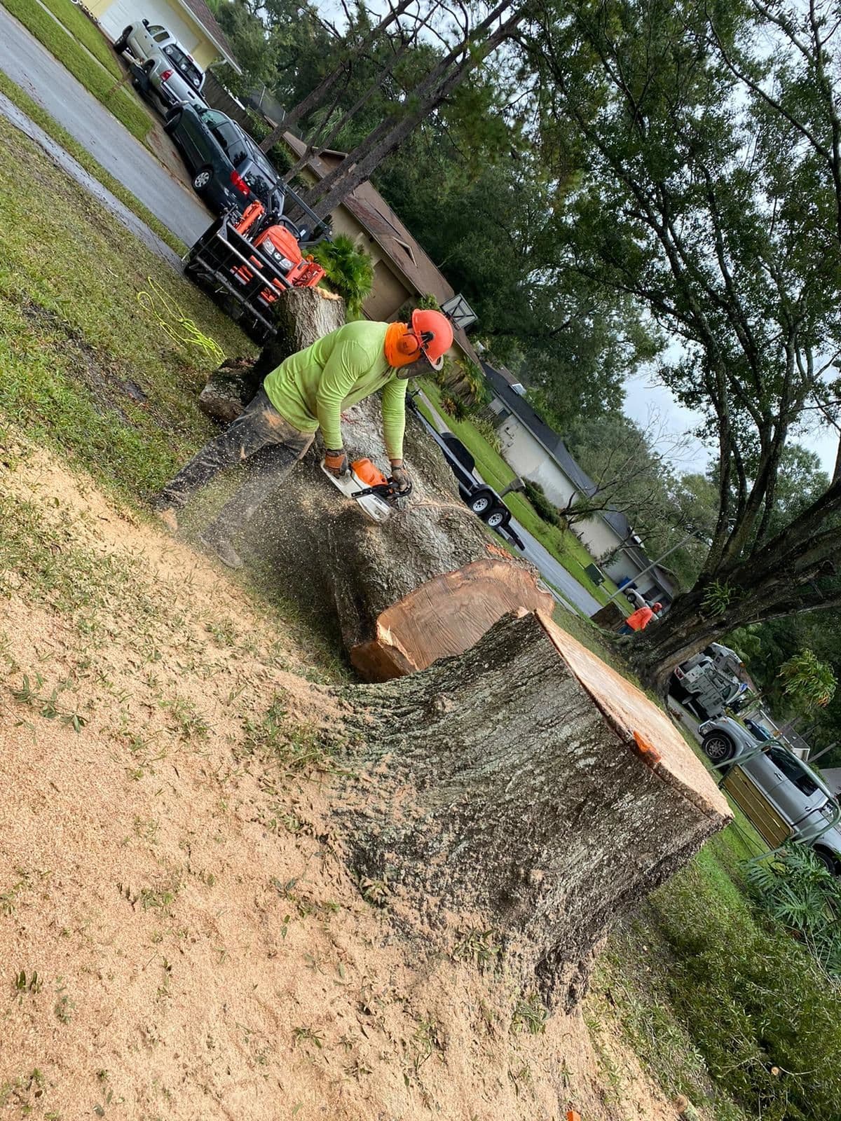 H&M Tree Service job photo 58