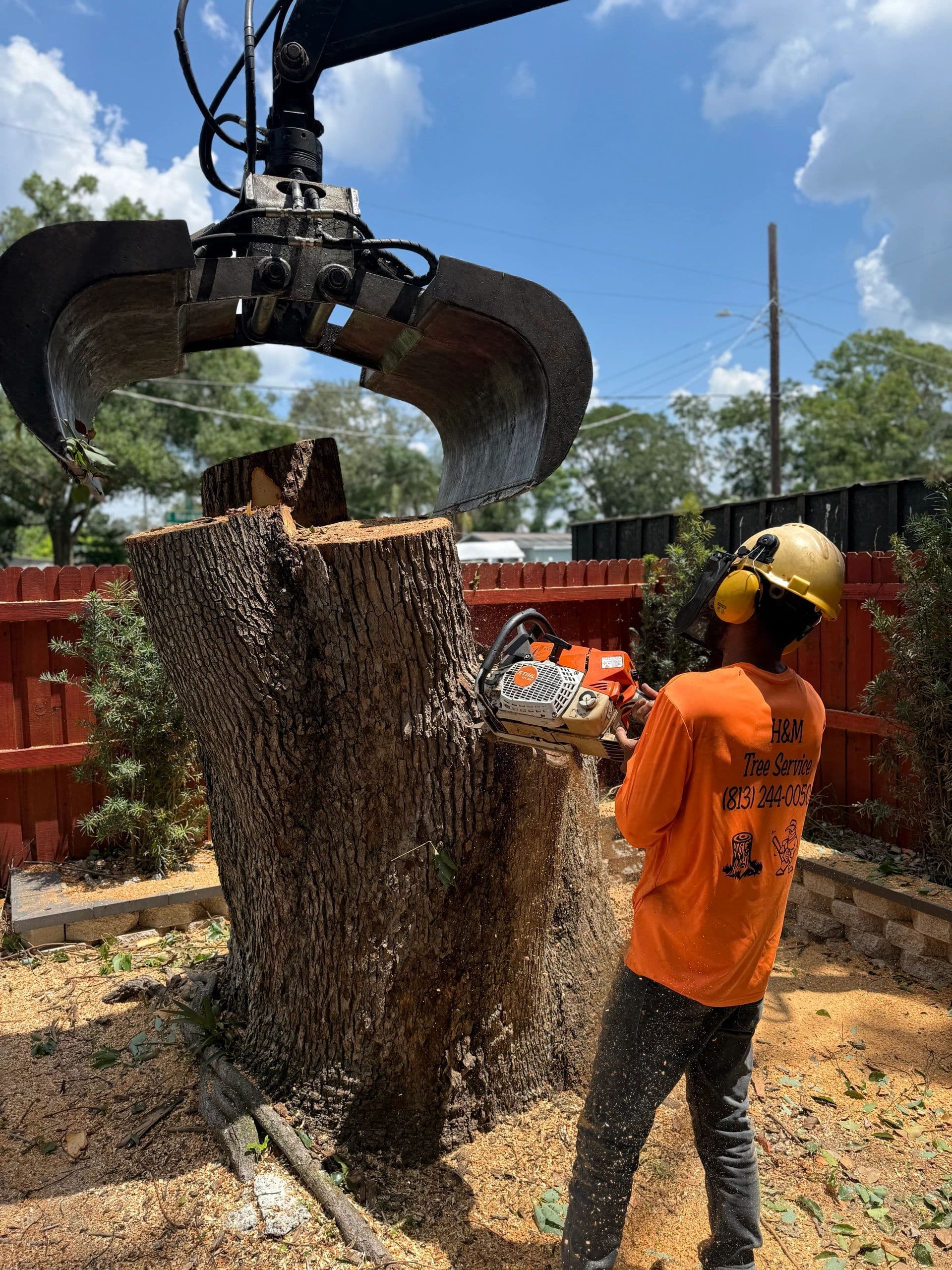H&M Tree Service job photo 17