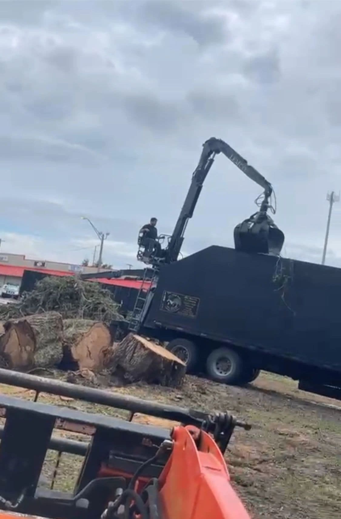 H&M Tree Service job photo 97