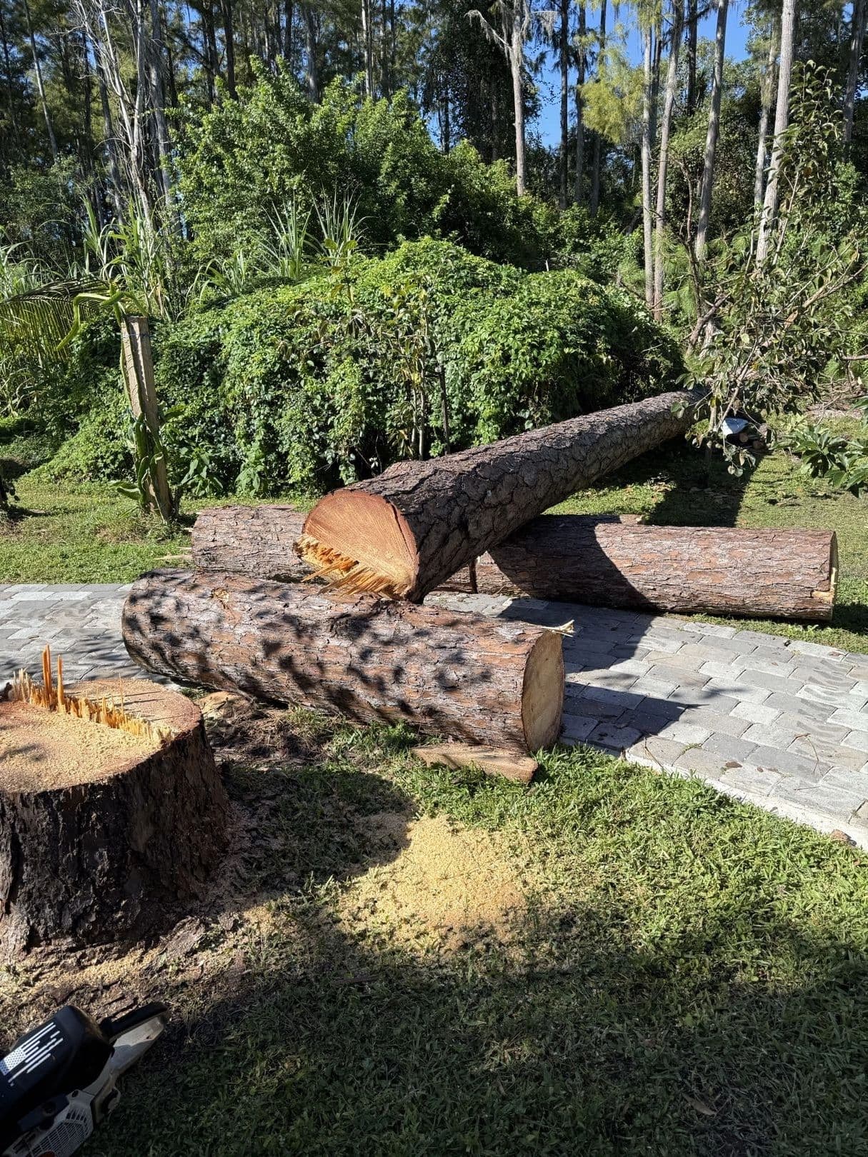 H&M Tree Service job photo 44