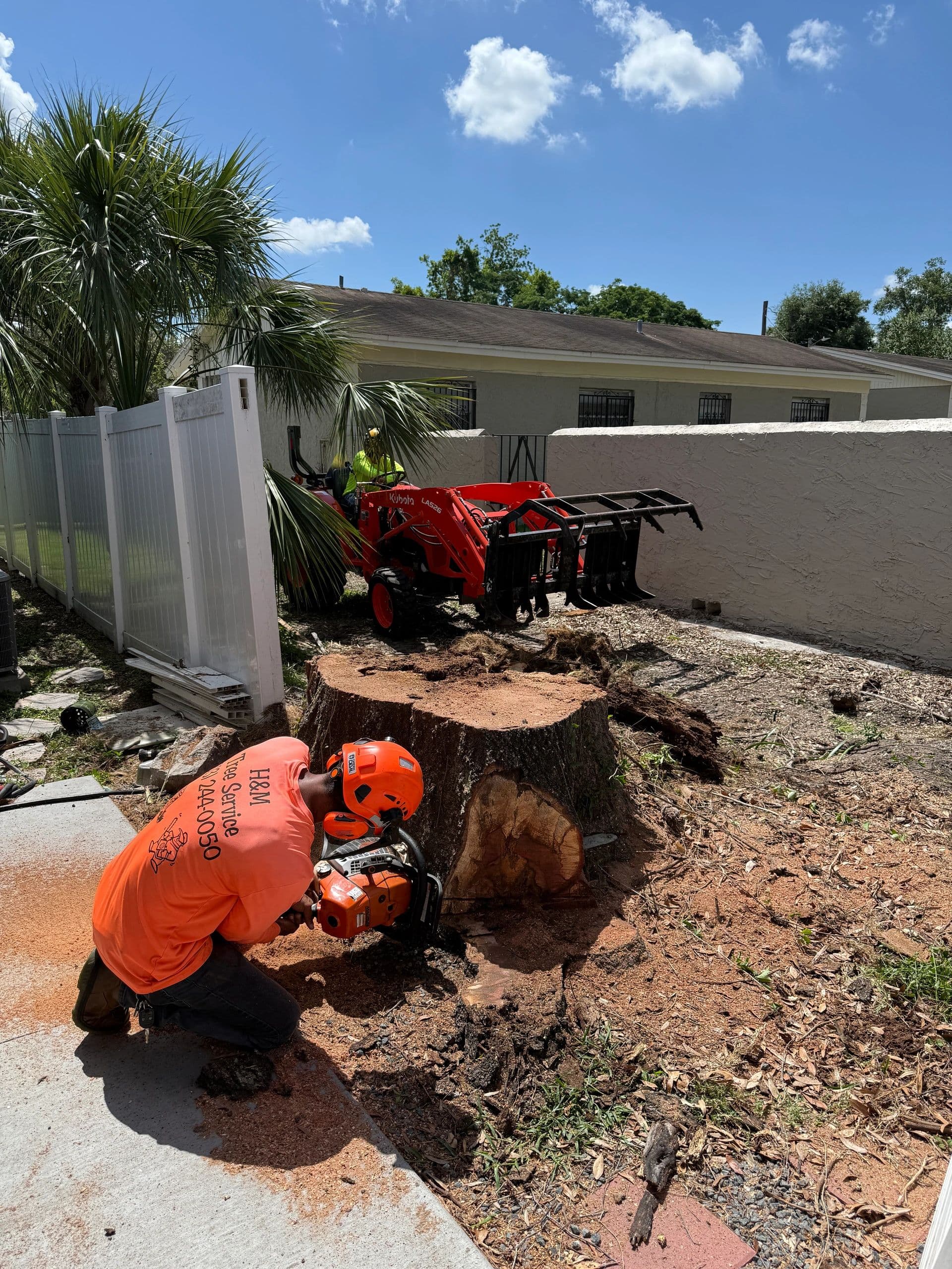 H&M Tree Service job photo 11