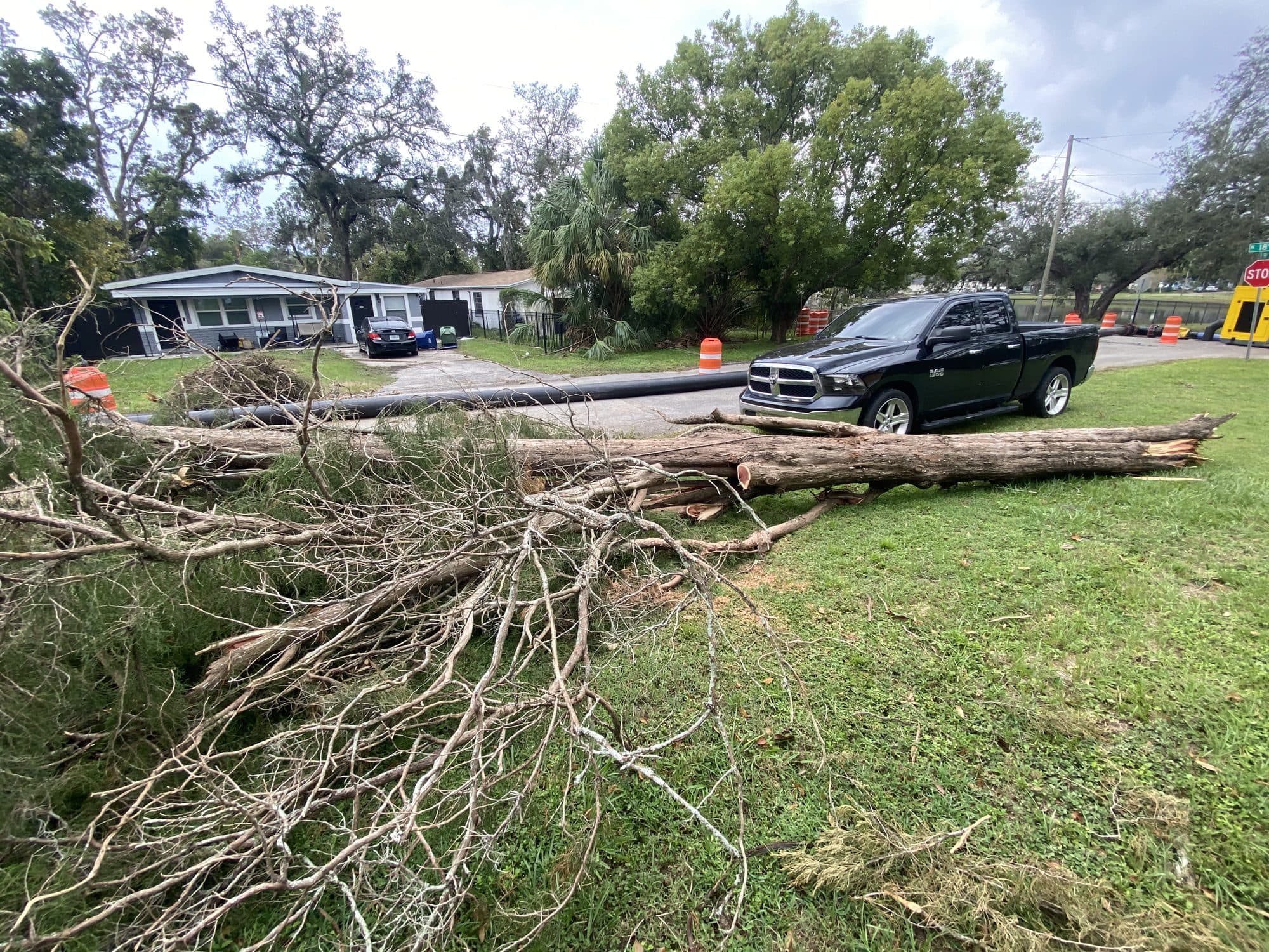 H&M Tree Service job photo 22