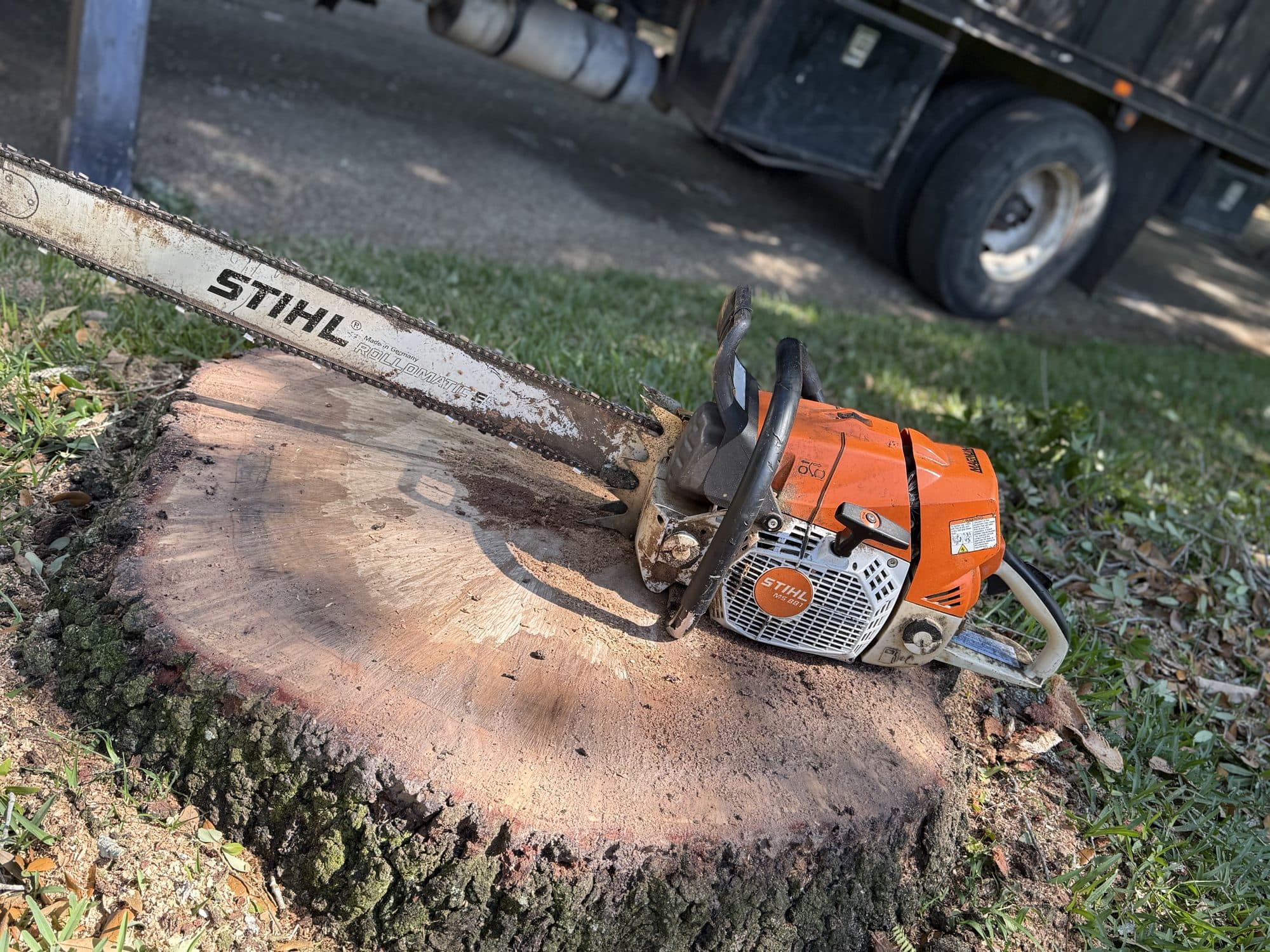 H&M Tree Service job photo 39