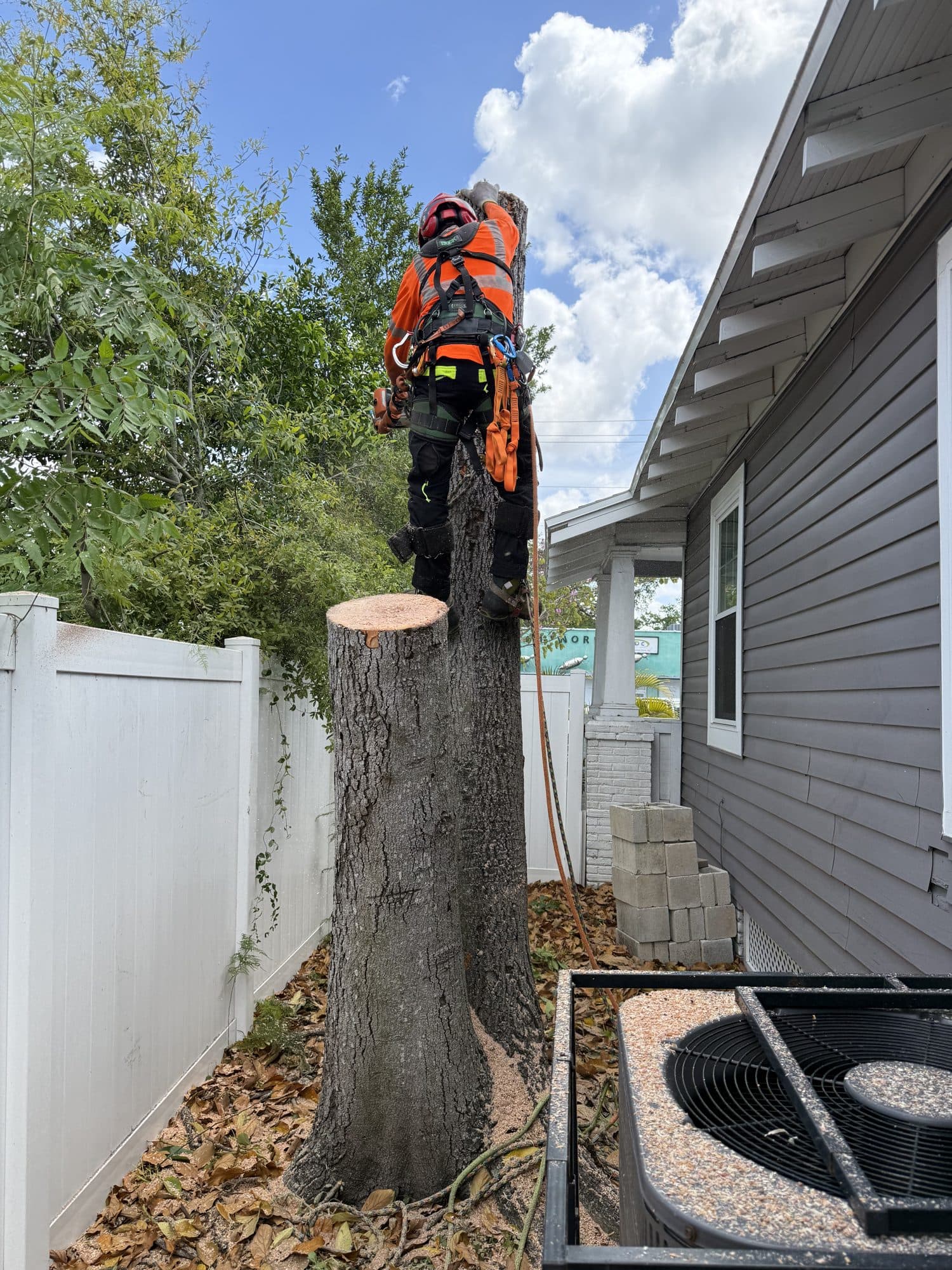 H&M Tree Service job photo 41