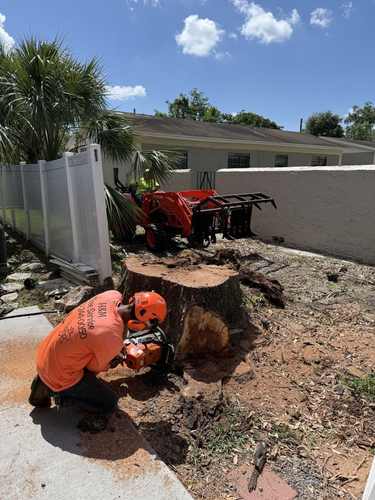 H&M Tree Service job photo 66