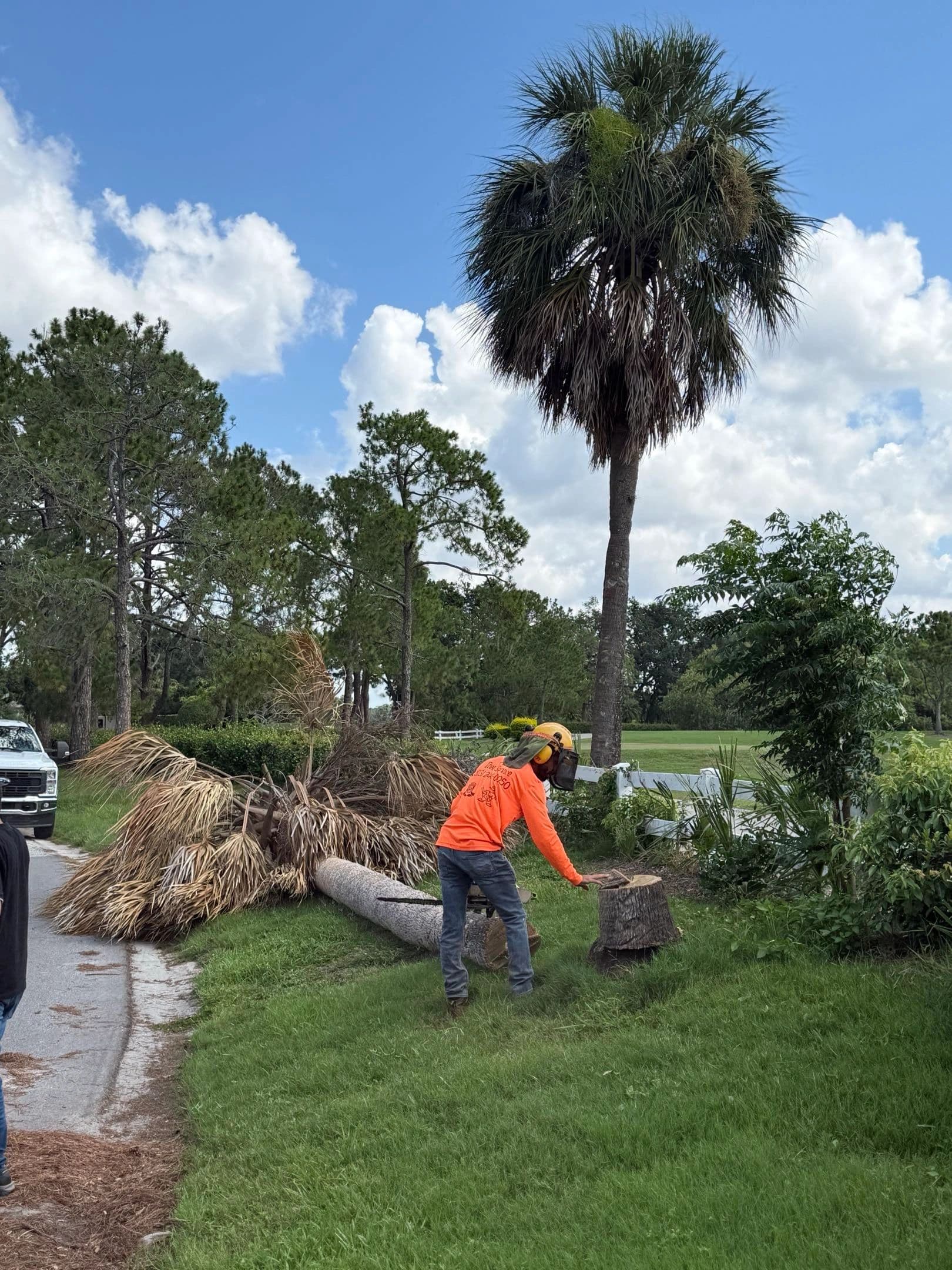H&M Tree Service job photo 48