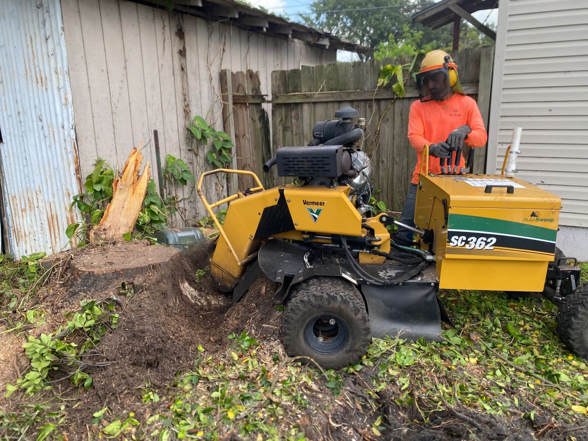 H&M Tree Service job photo 60