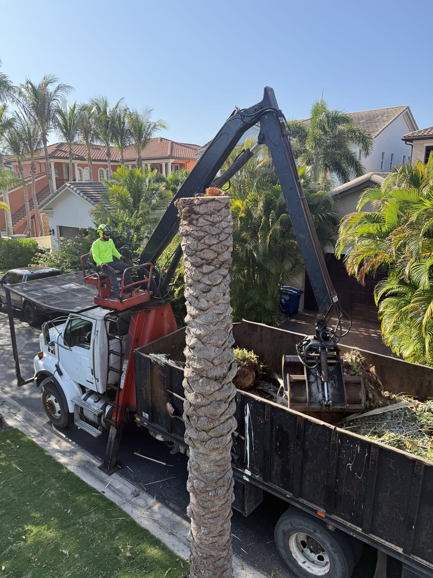 H&M Tree Service job photo 46