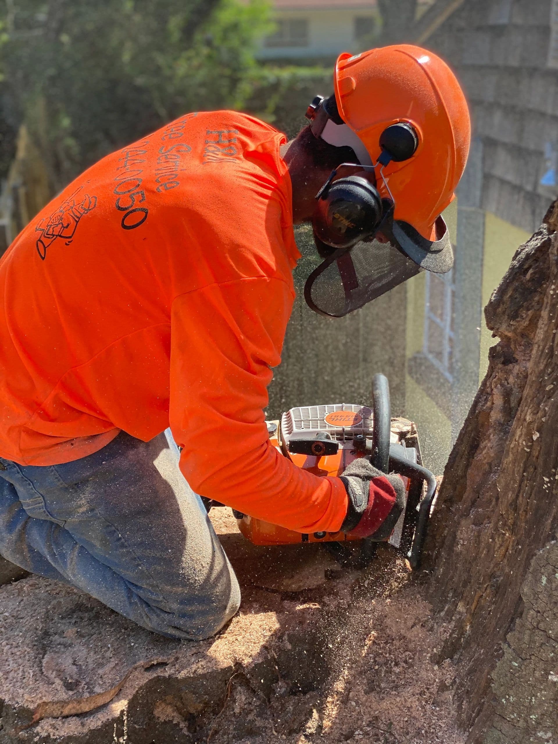 H&M Tree Service job photo 37