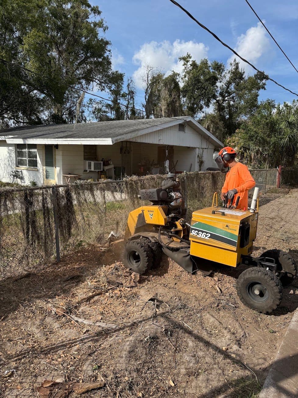 H&M Tree Service job photo 94