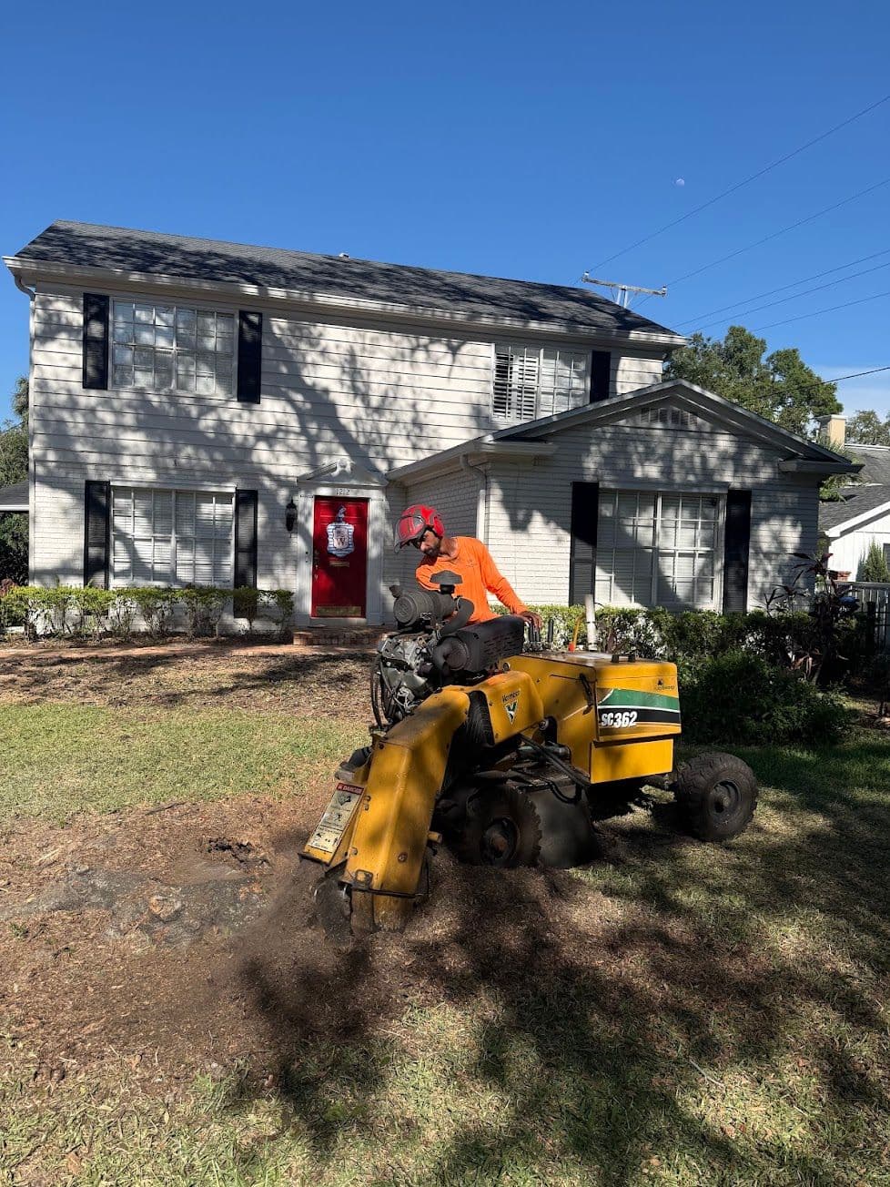H&M Tree Service job photo 136