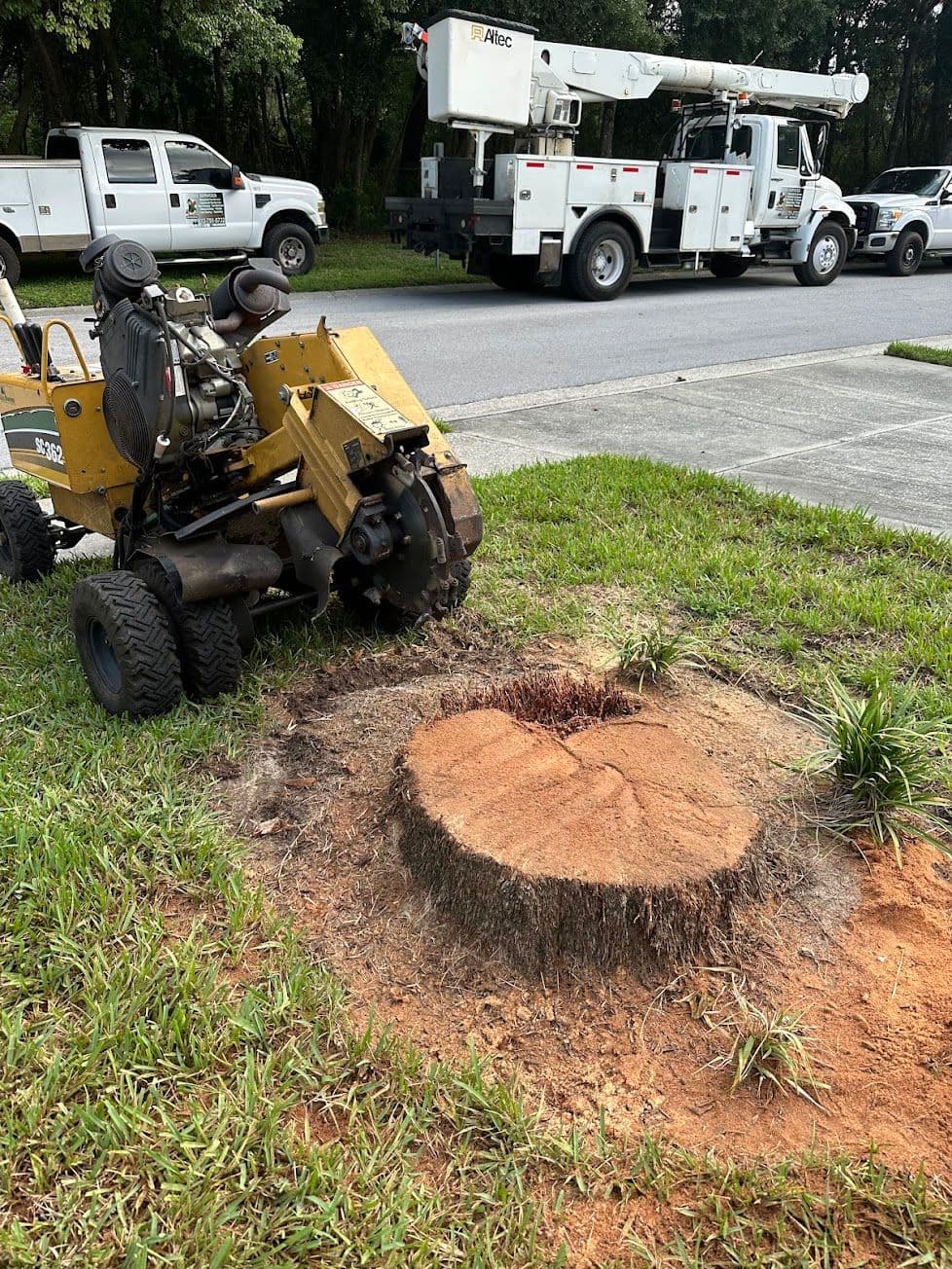 H&M Tree Service job photo 87