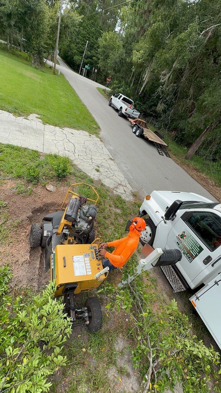 H&M Tree Service job photo 132