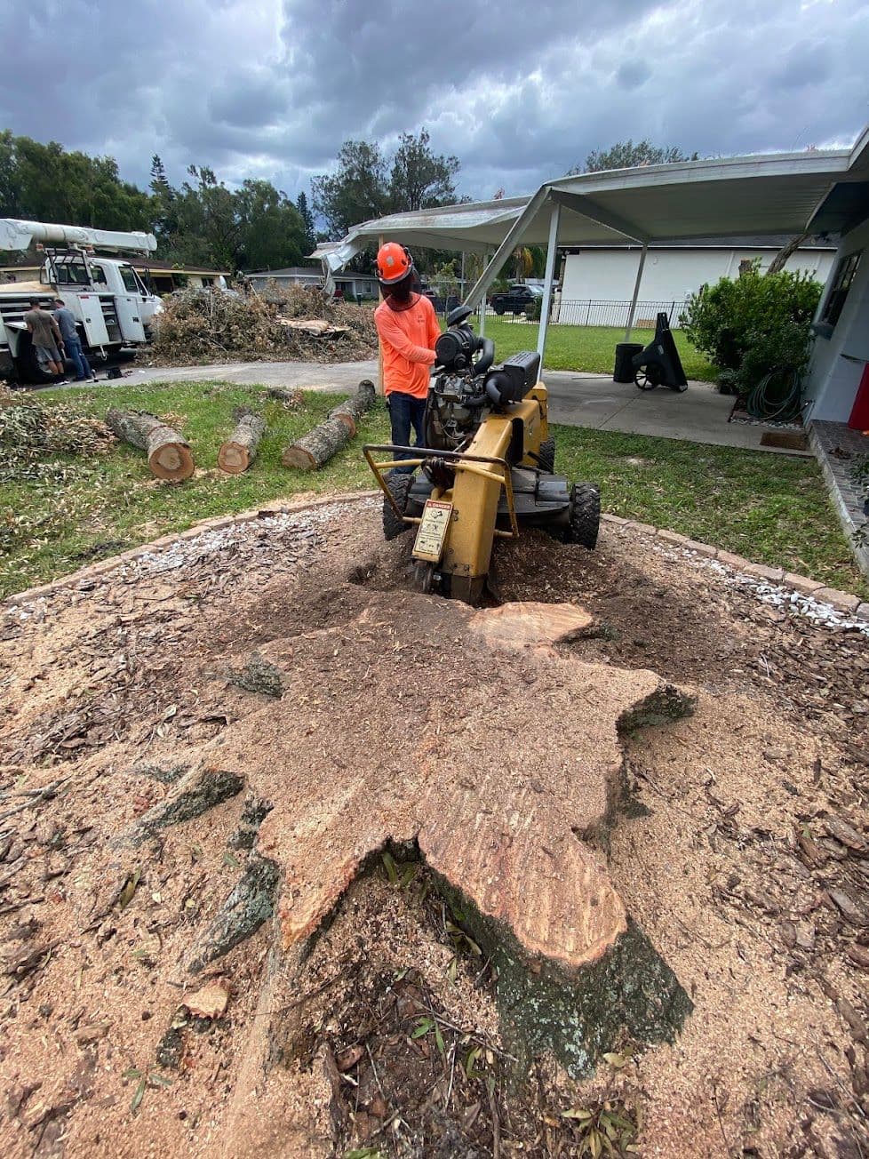 H&M Tree Service job photo 100