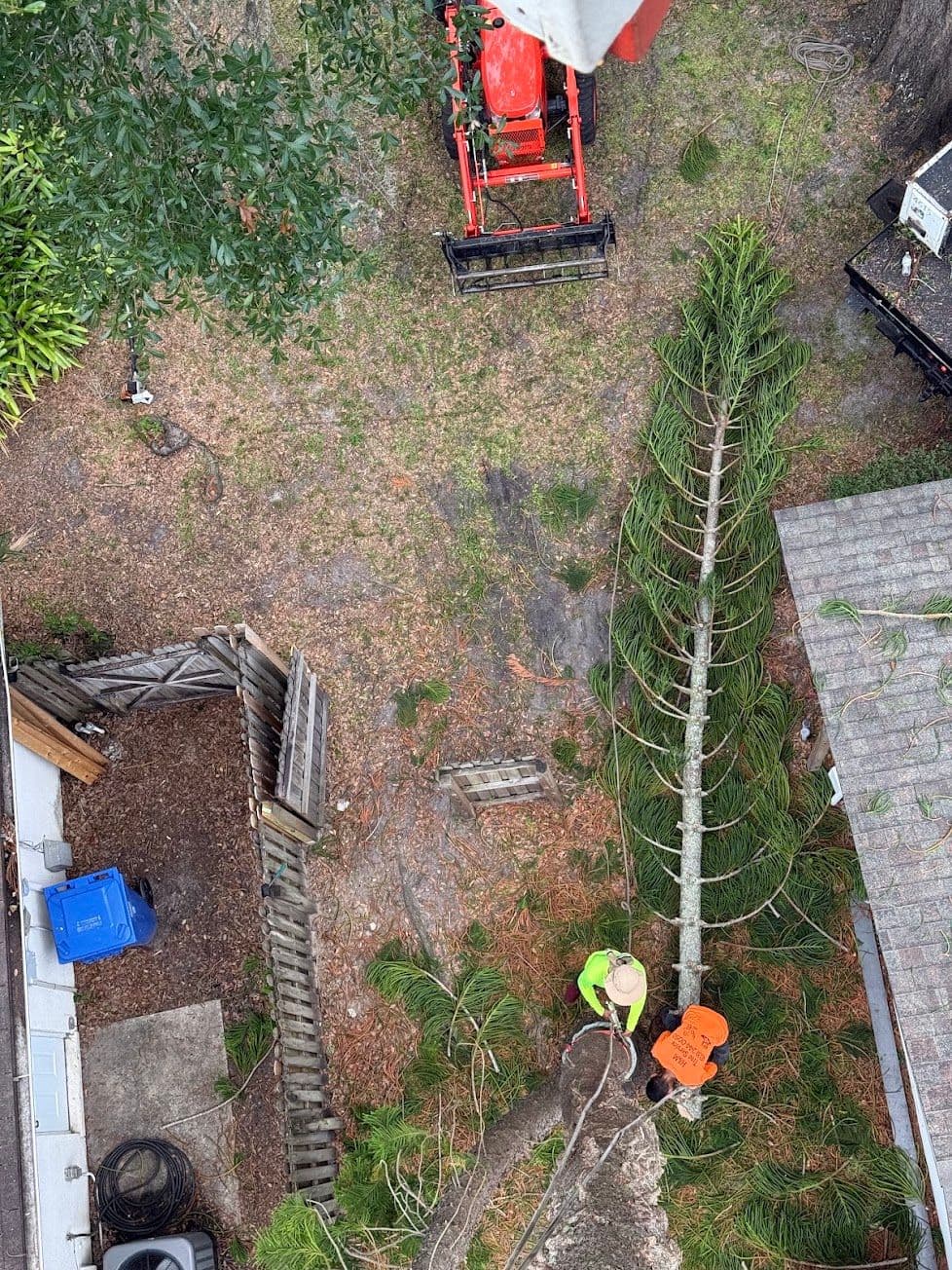 H&M Tree Service job photo 77