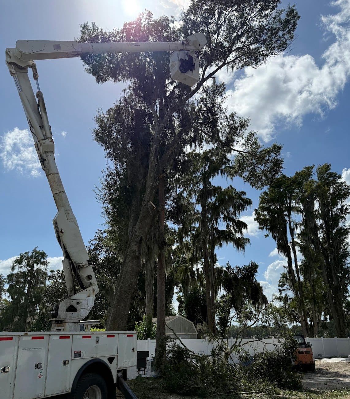 H&M Tree Service job photo 125