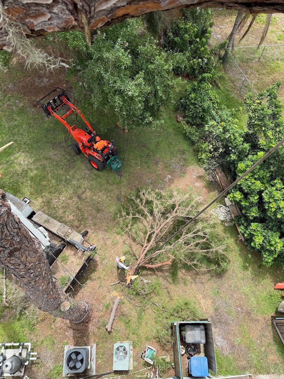 H&M Tree Service job photo 79