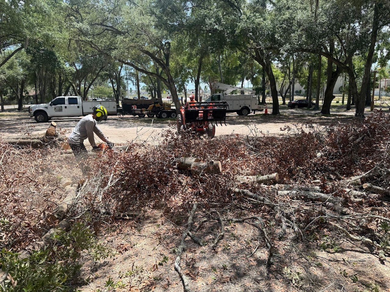 H&M Tree Service job photo 63