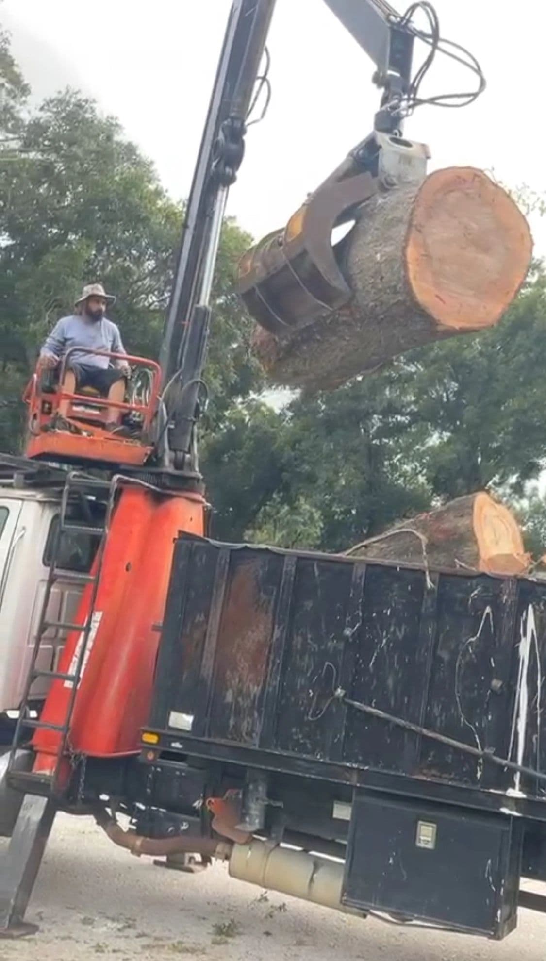 H&M Tree Service job photo 93
