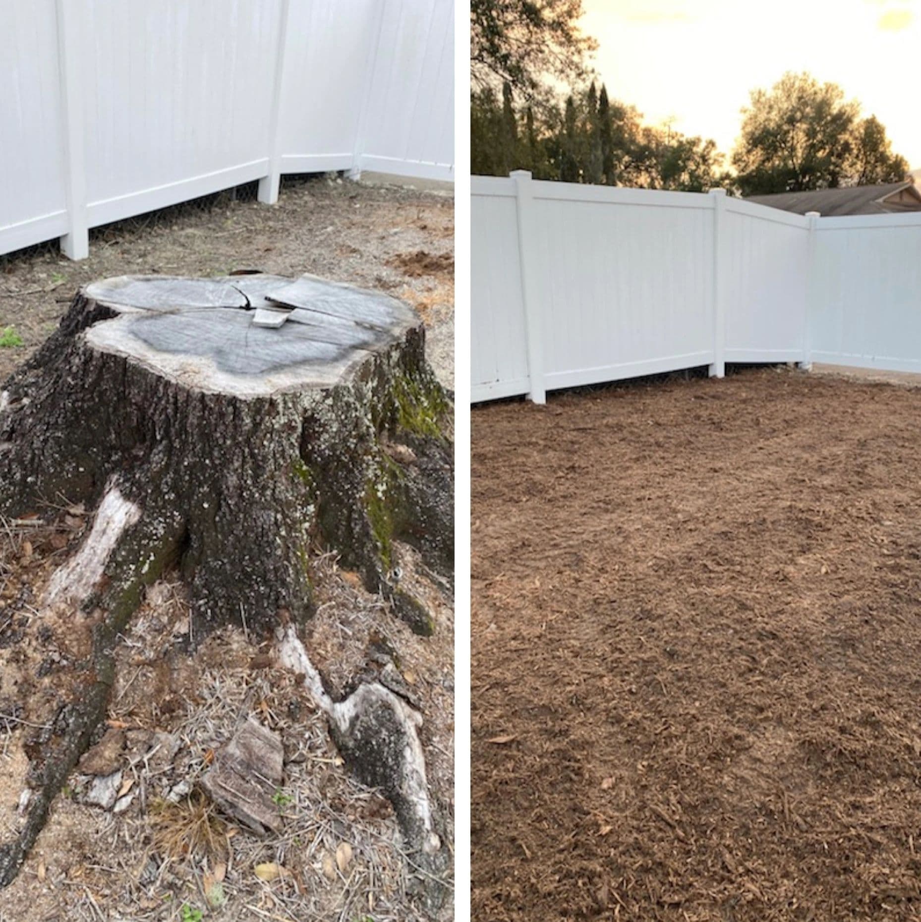 H&M Tree Service job photo 69