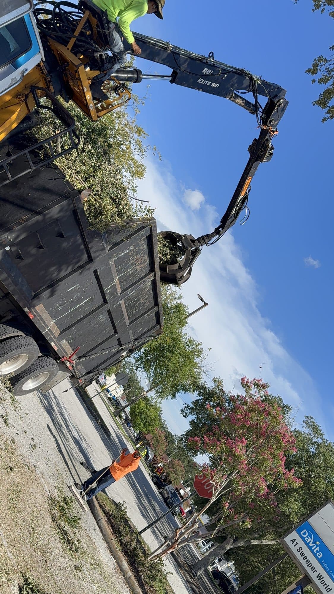 H&M Tree Service job photo 61