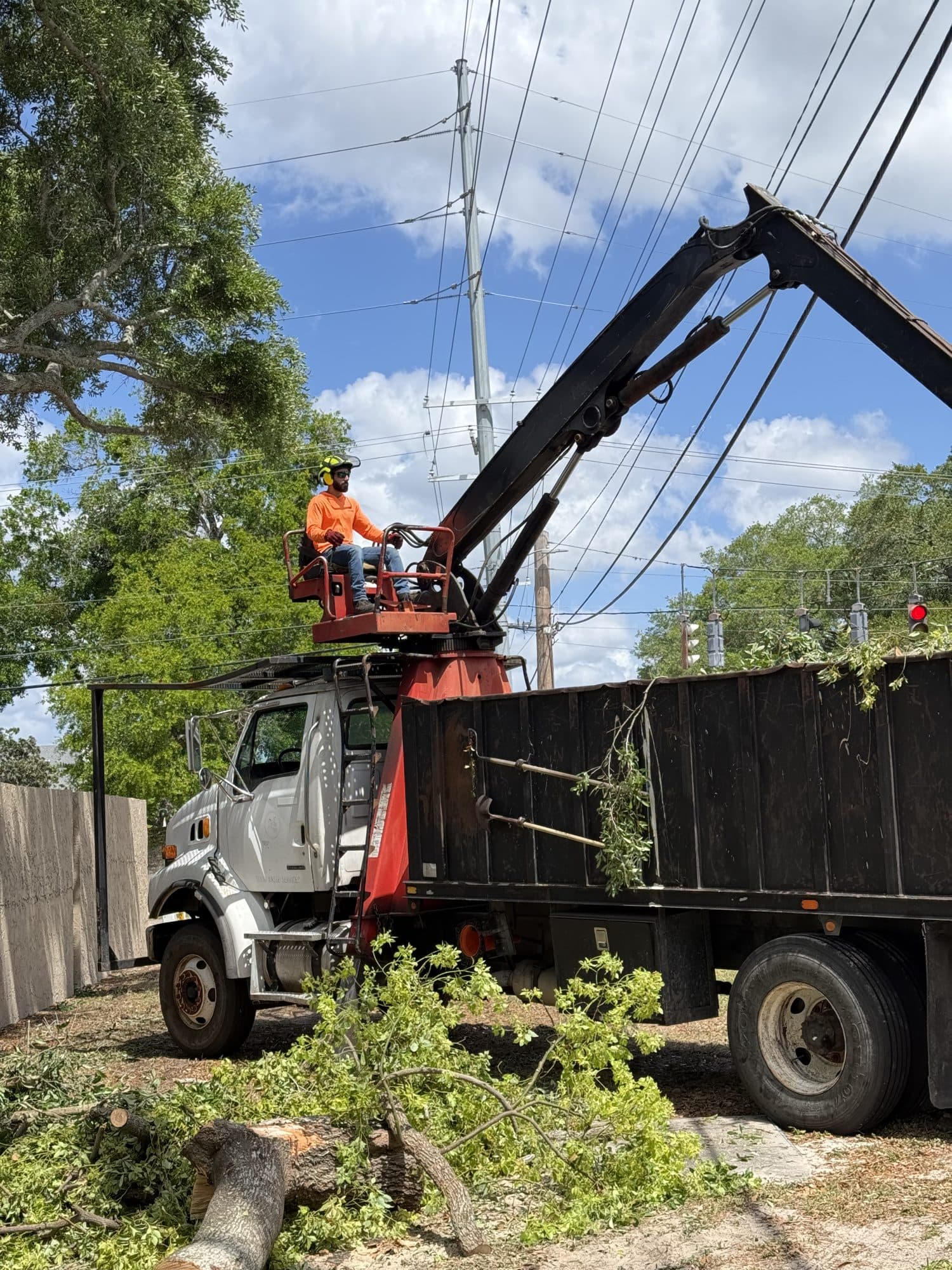 H&M Tree Service job photo 43