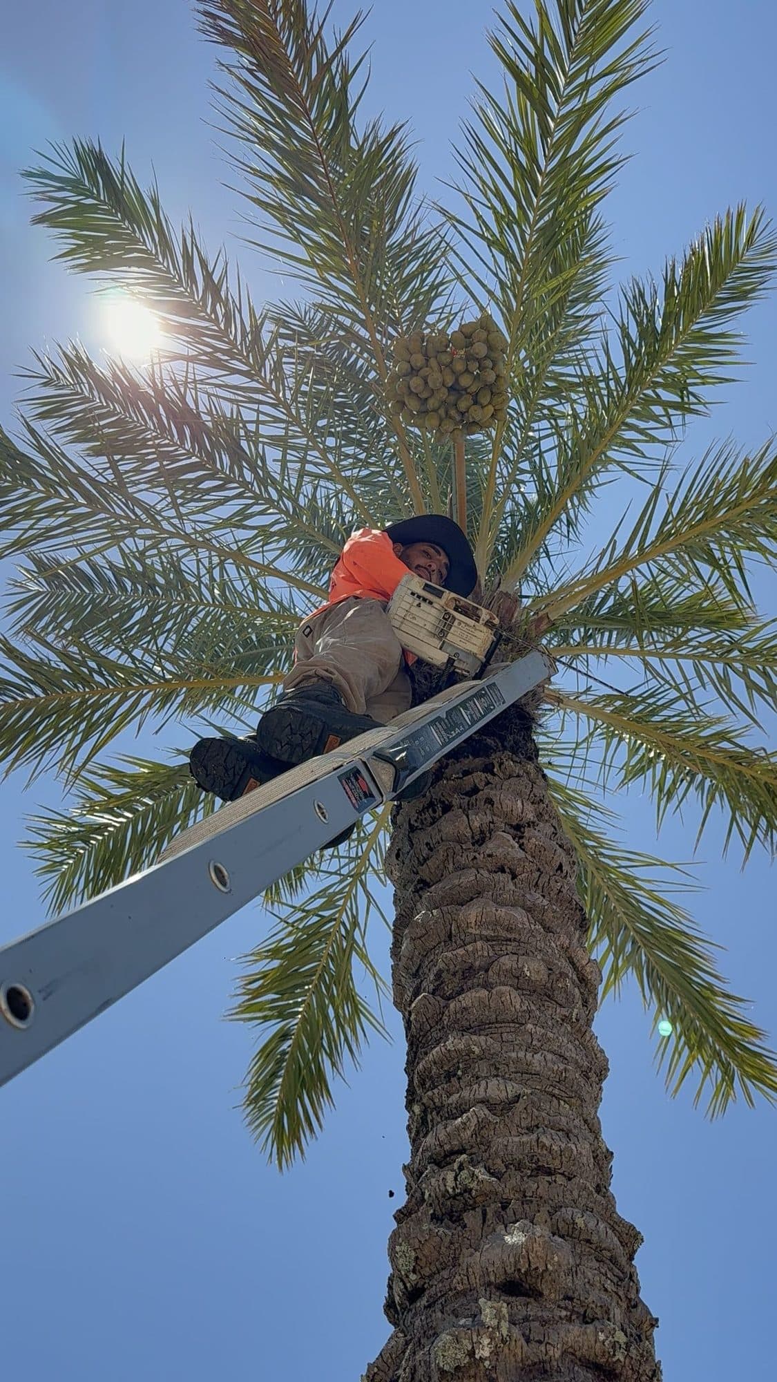 H&M Tree Service job photo 73
