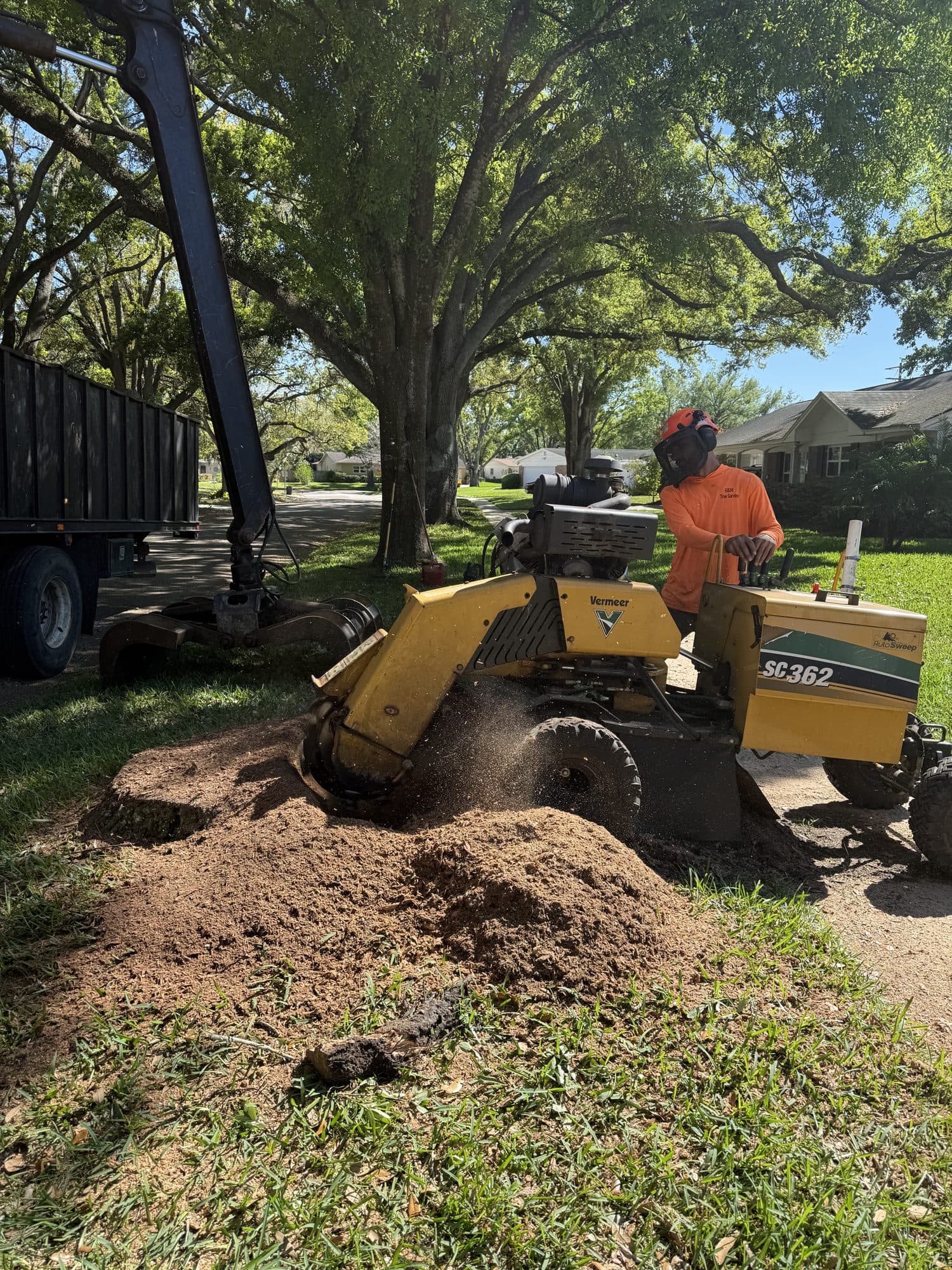 H&M Tree Service job photo 16
