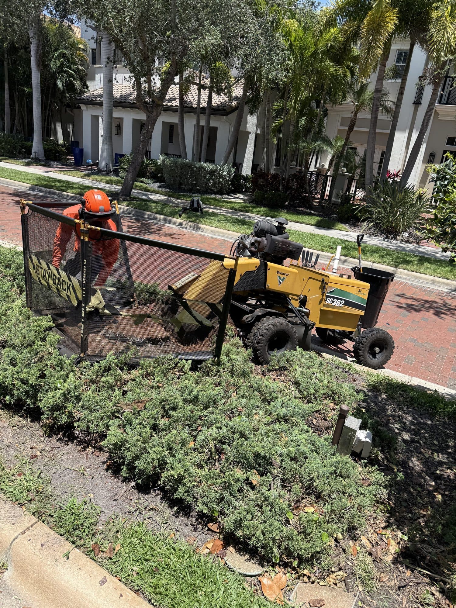 H&M Tree Service job photo 13