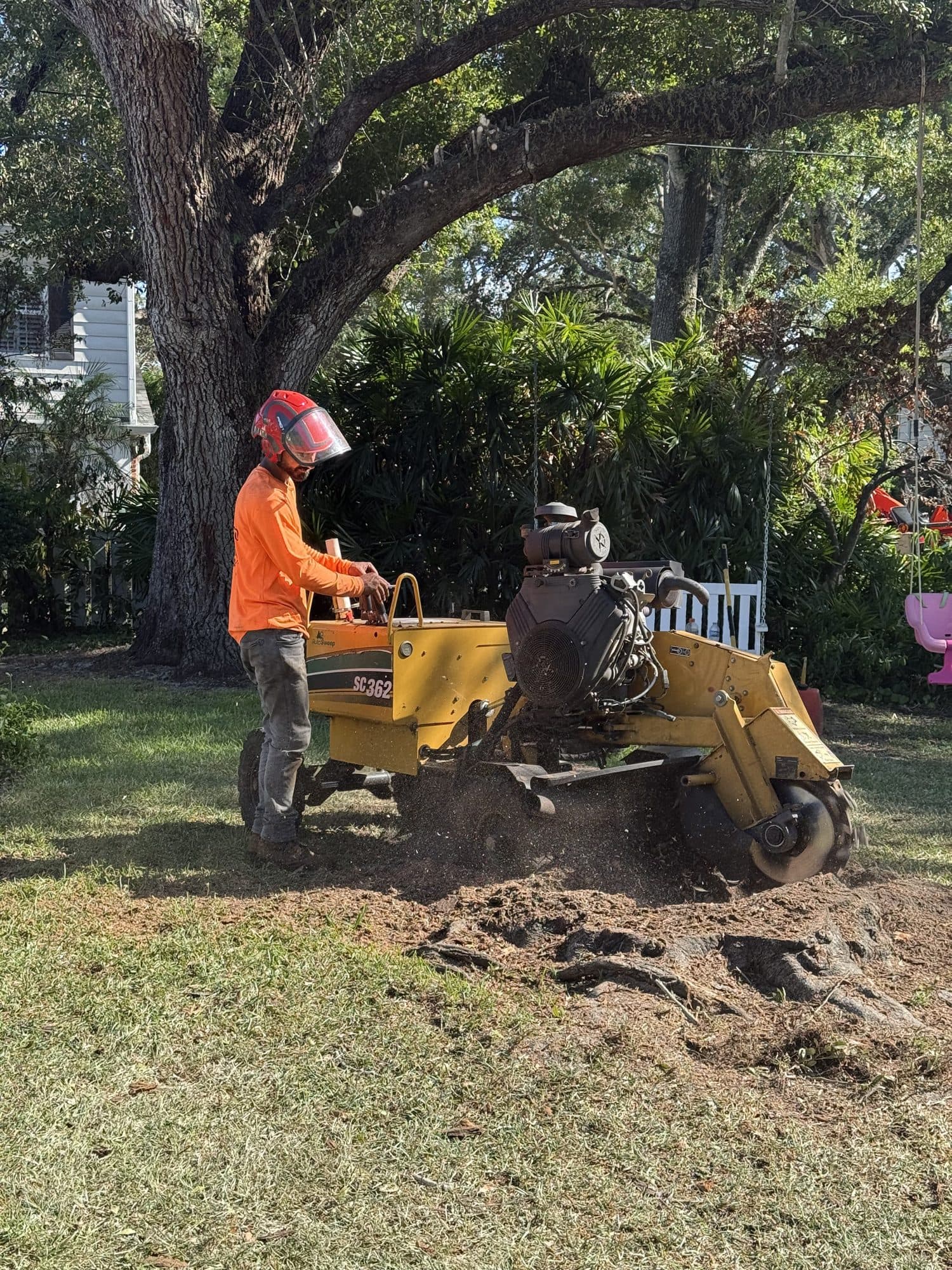 H&M Tree Service job photo 19